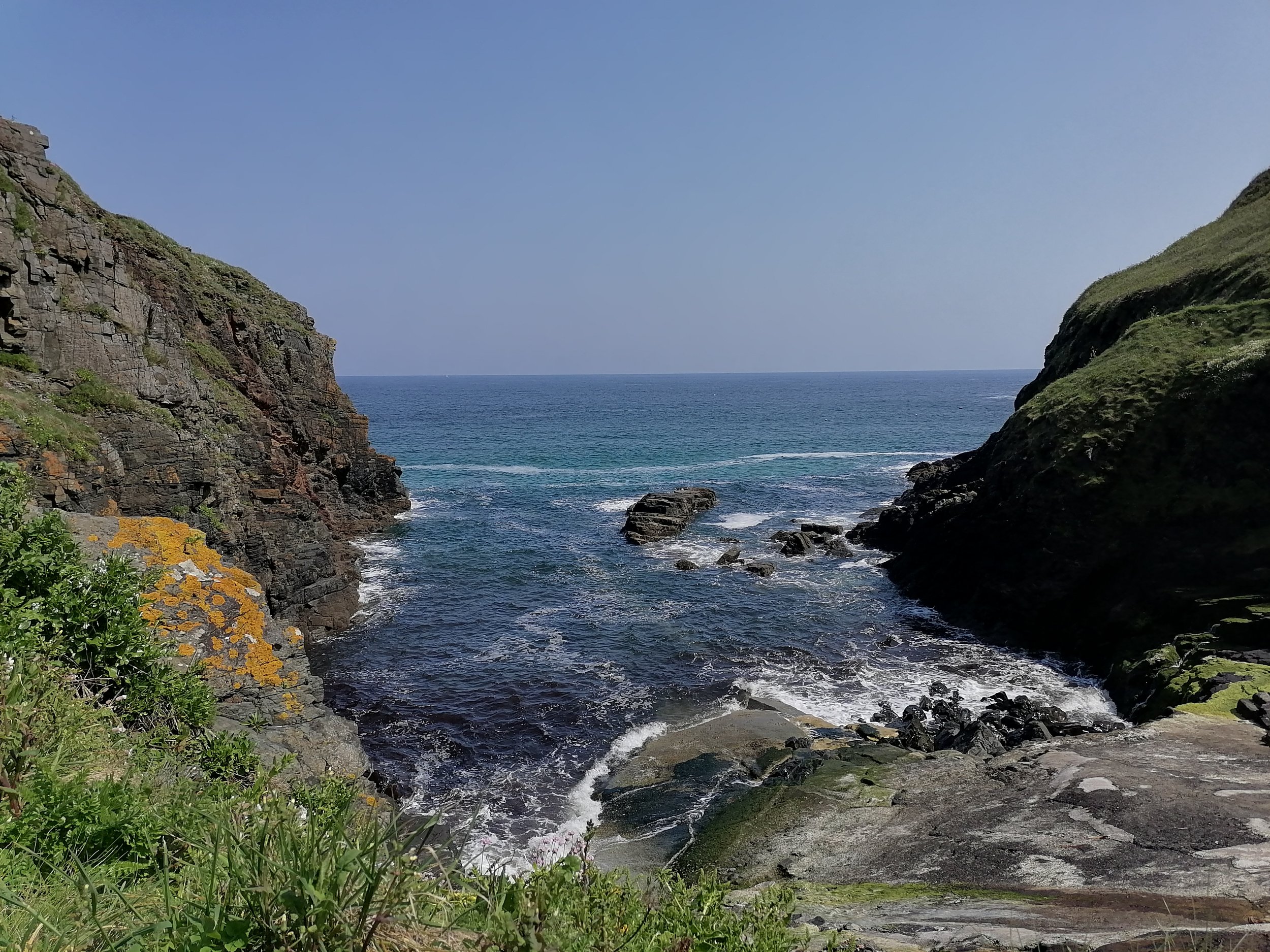 A view of the ocean between two green, rocky cliffs with some plants in the foreground.