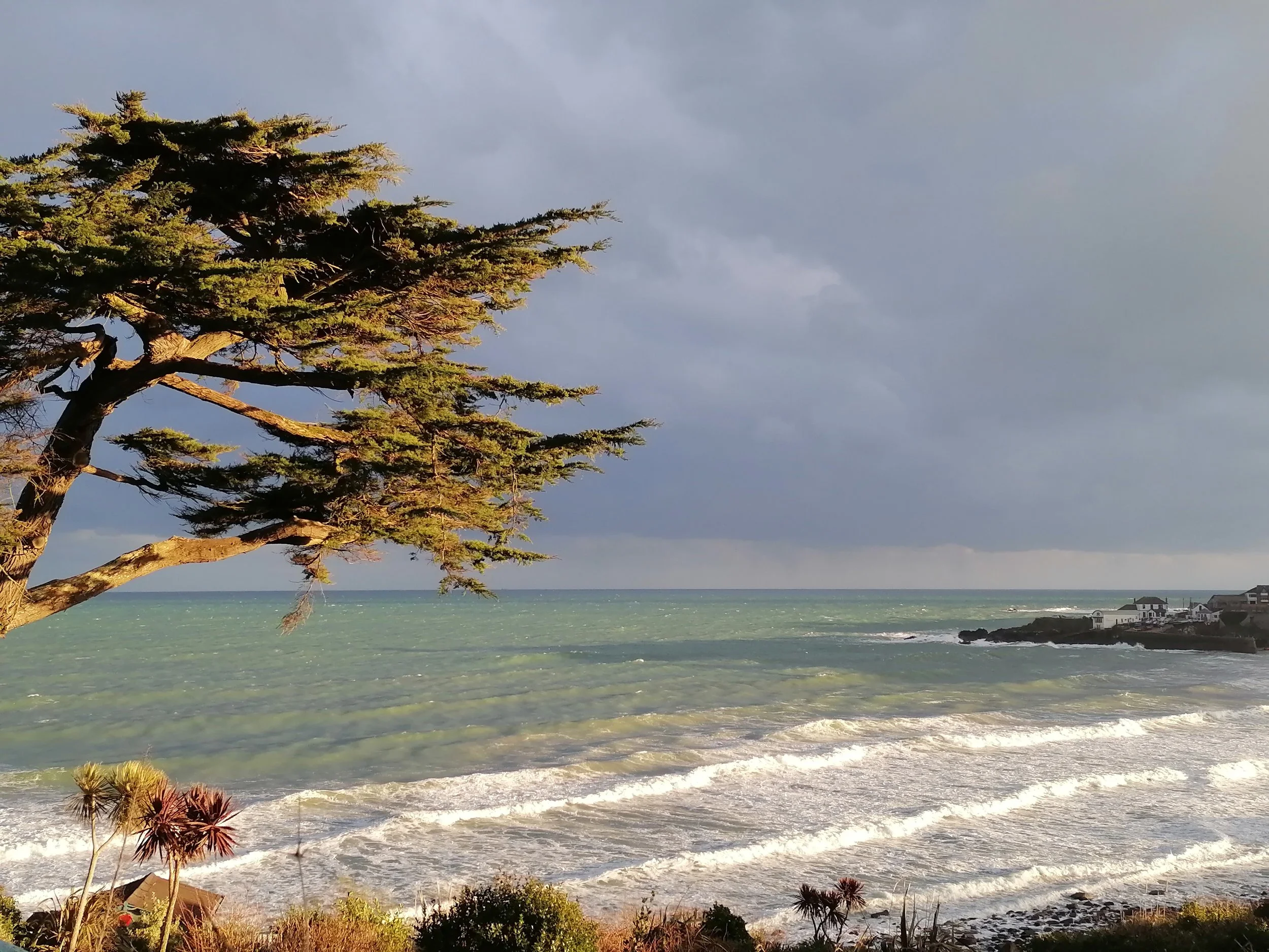 A coastal scene at Coverack with a large tree in the foreground, ocean waves crashing on the shore, cloudy sky, and houses near the shoreline.