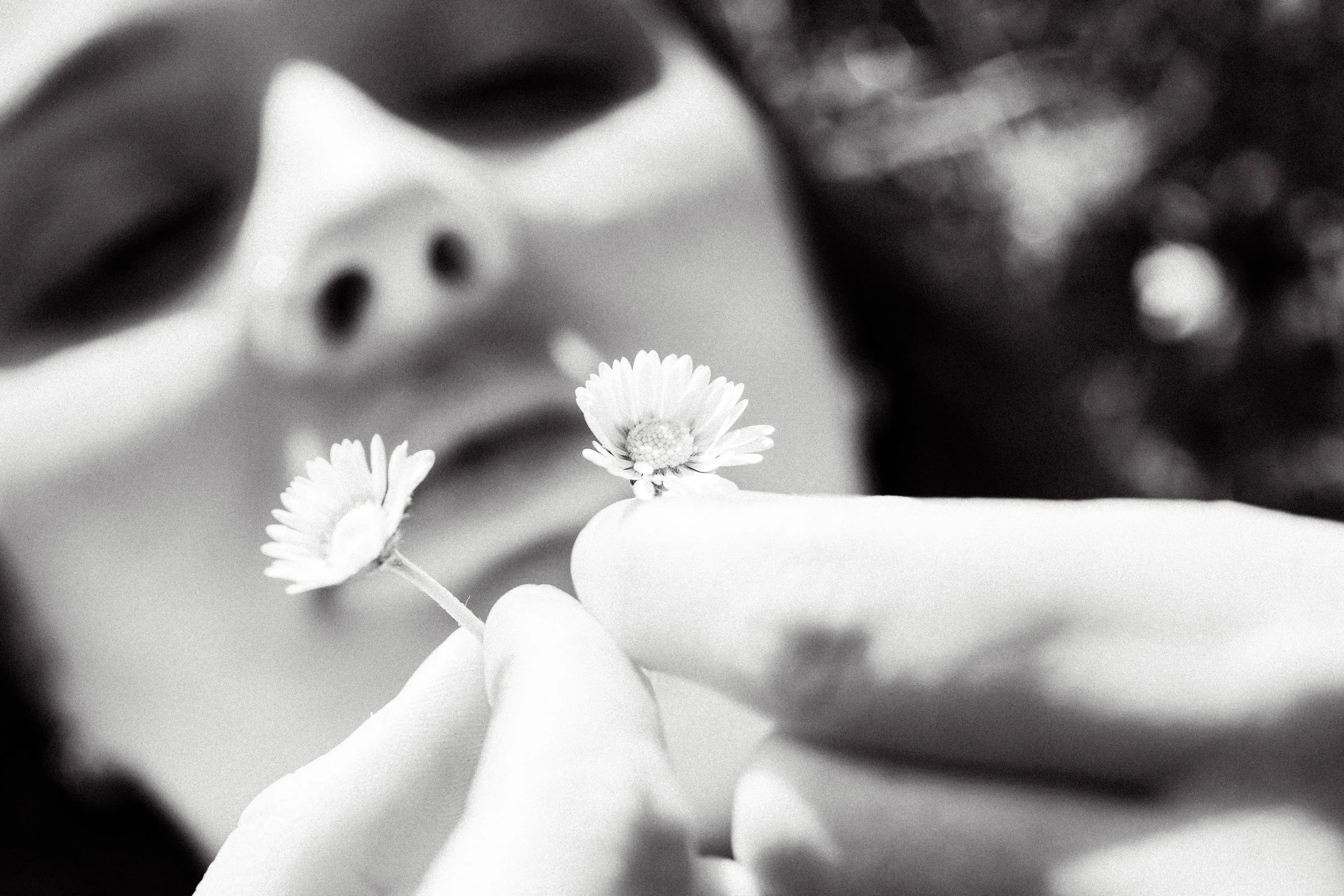 A close-up black-and-white photograph of a person's face, focusing on the closed eyes, nose, and lips, with a small flower in the foreground.