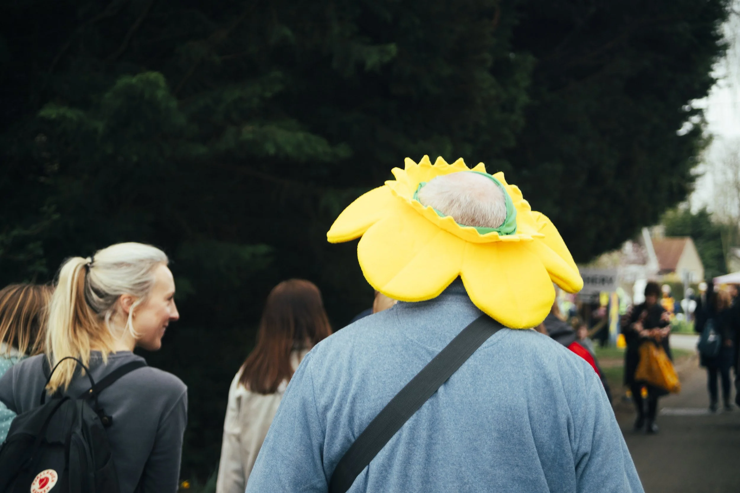 daff-1-29.JPG