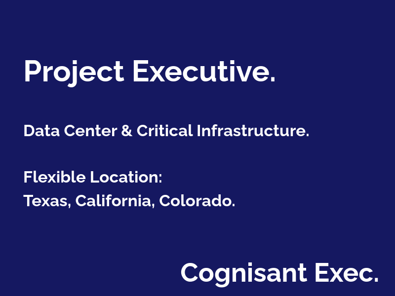 Project Executive