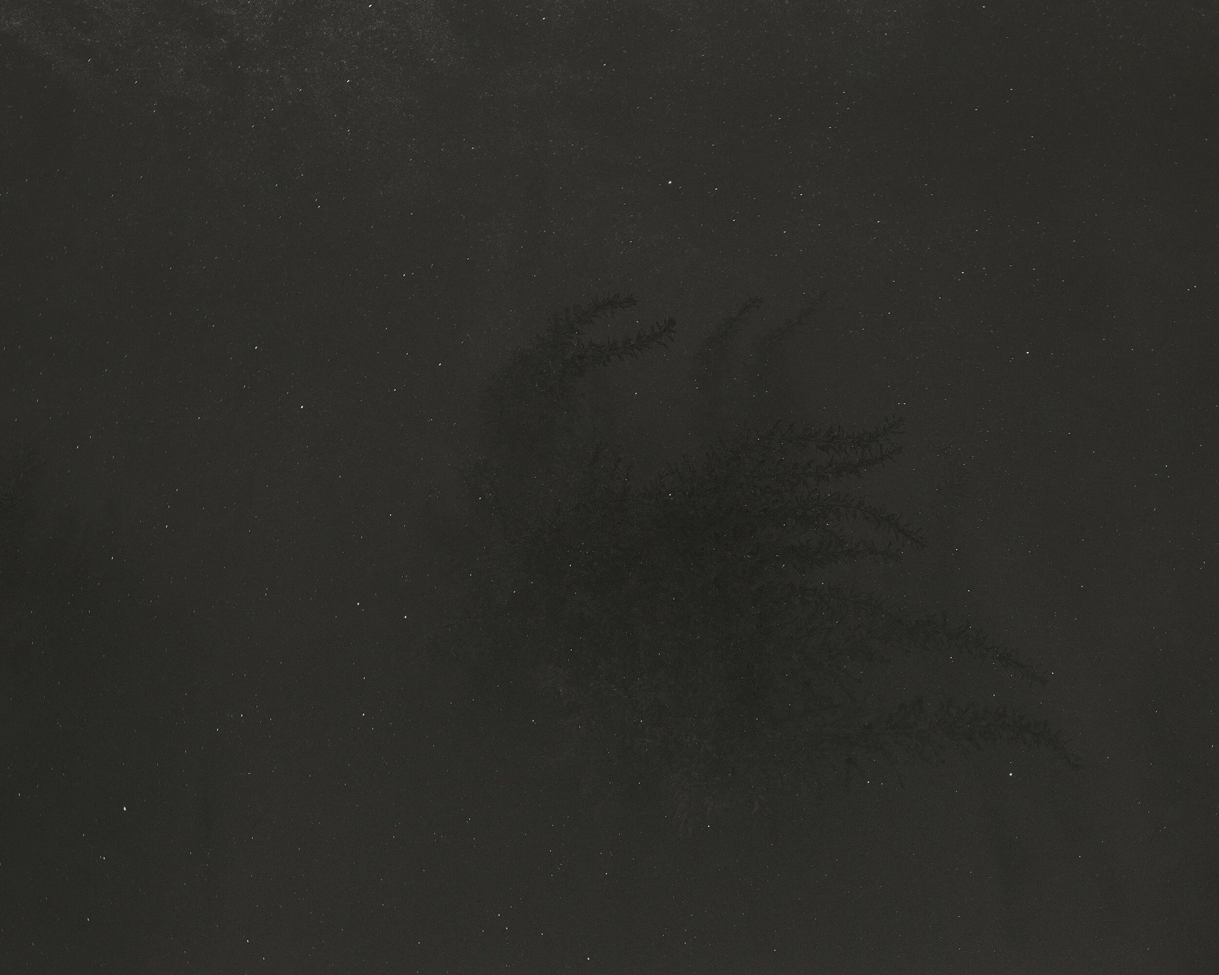 Margate+School+Final+Seaweed_small.webp