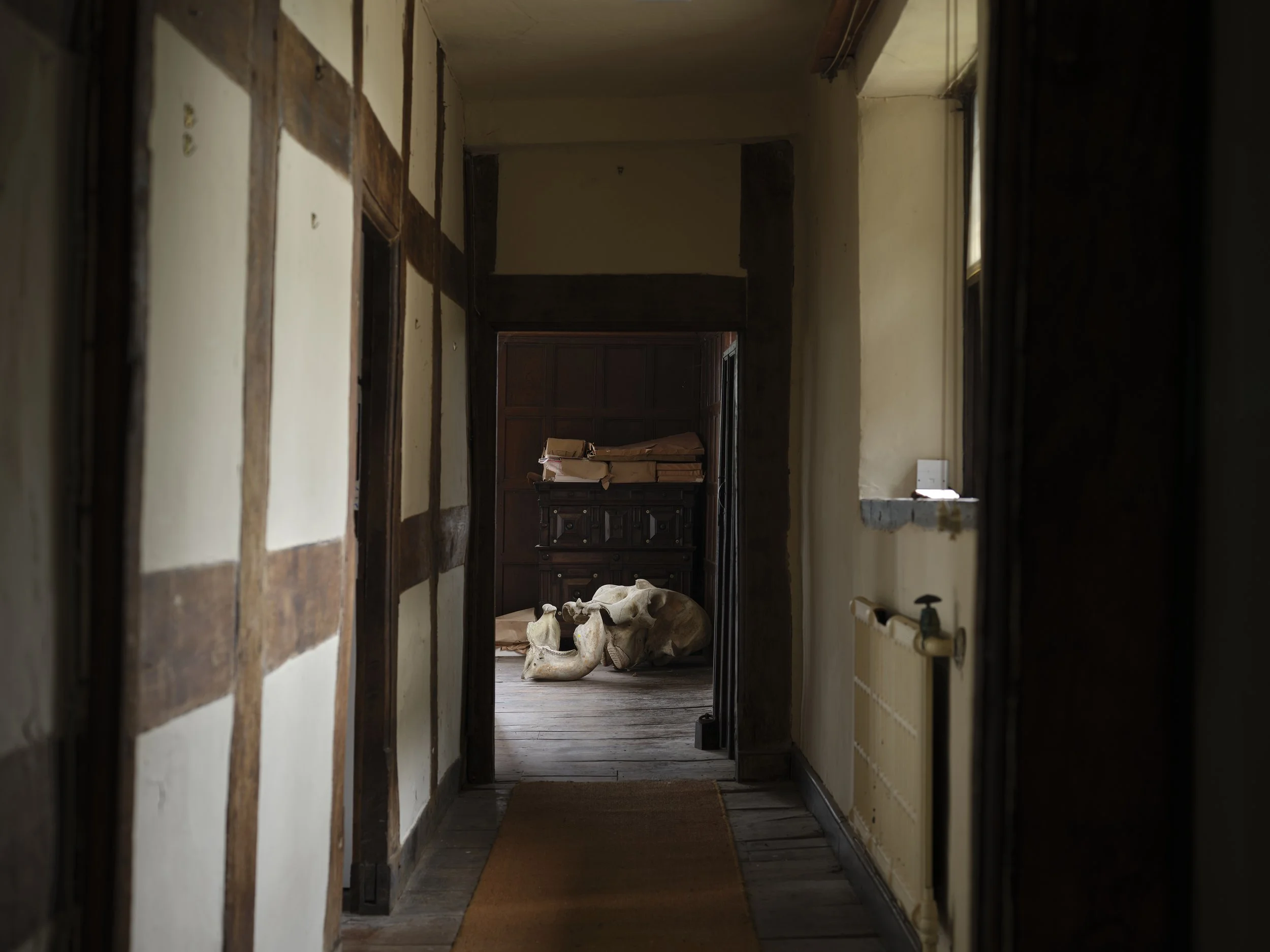 A dimly lit hallway with wooden framed walls and a wooden floor, leading to a room with a dark wood cabinet and rocks on top.