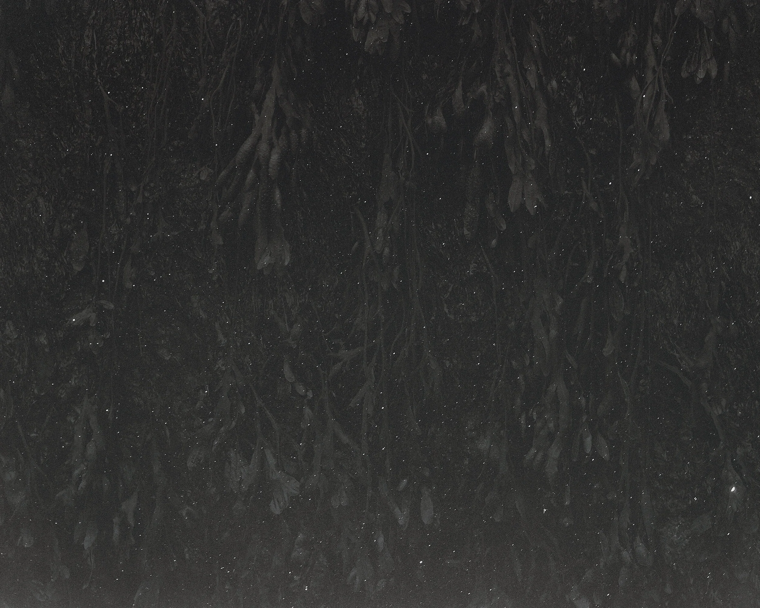 Margate_School_Seaweed_Wall_Sky_Semi_Gloss_small.webp