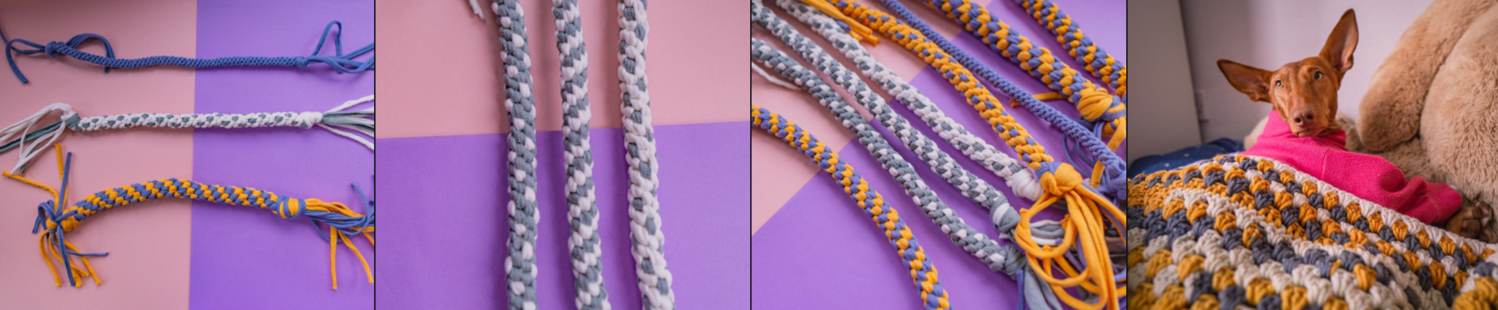 Four different homemade braided ropes on a pink and purple background, and a small dog lying on a textured blanket with a pink towel, all made with colorful yarns.