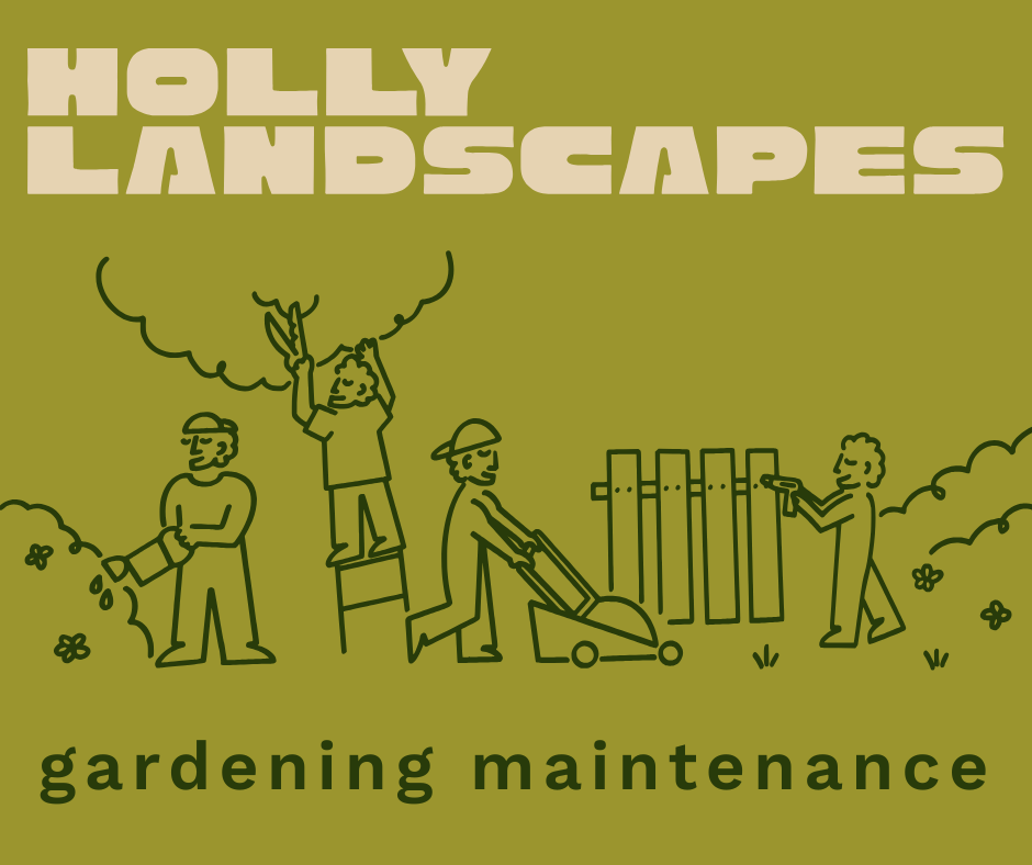 Illustration of people doing gardening tasks such as watering plants, cutting grass, and trimming bushes with text 'Holly Landscapes' and 'gardening maintenance'.