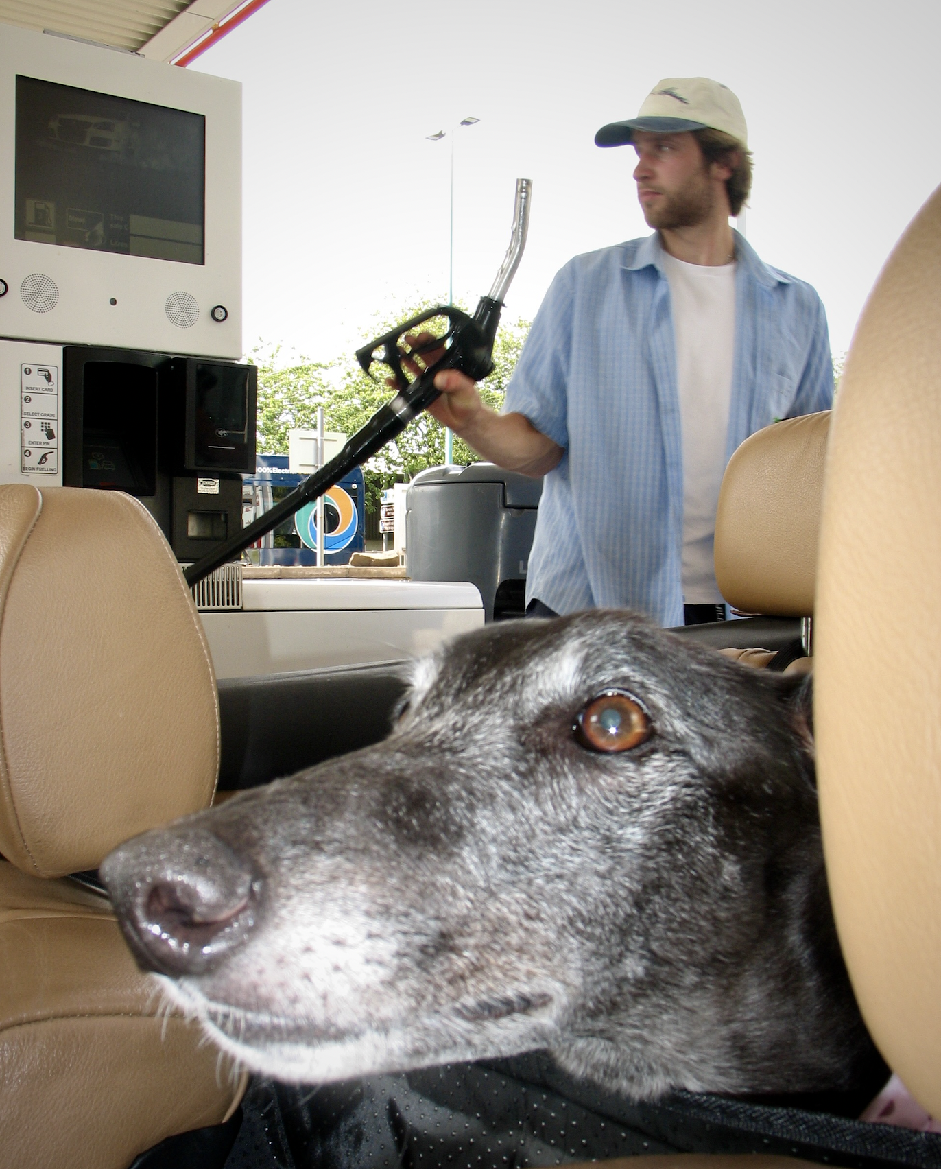 A man in a blue shirt and baseball cap holding a siphon fuel pump stands inside a gas station. A large black and gray dog with tan eyes lies on the beige car seat in the foreground, partially blocking the view.