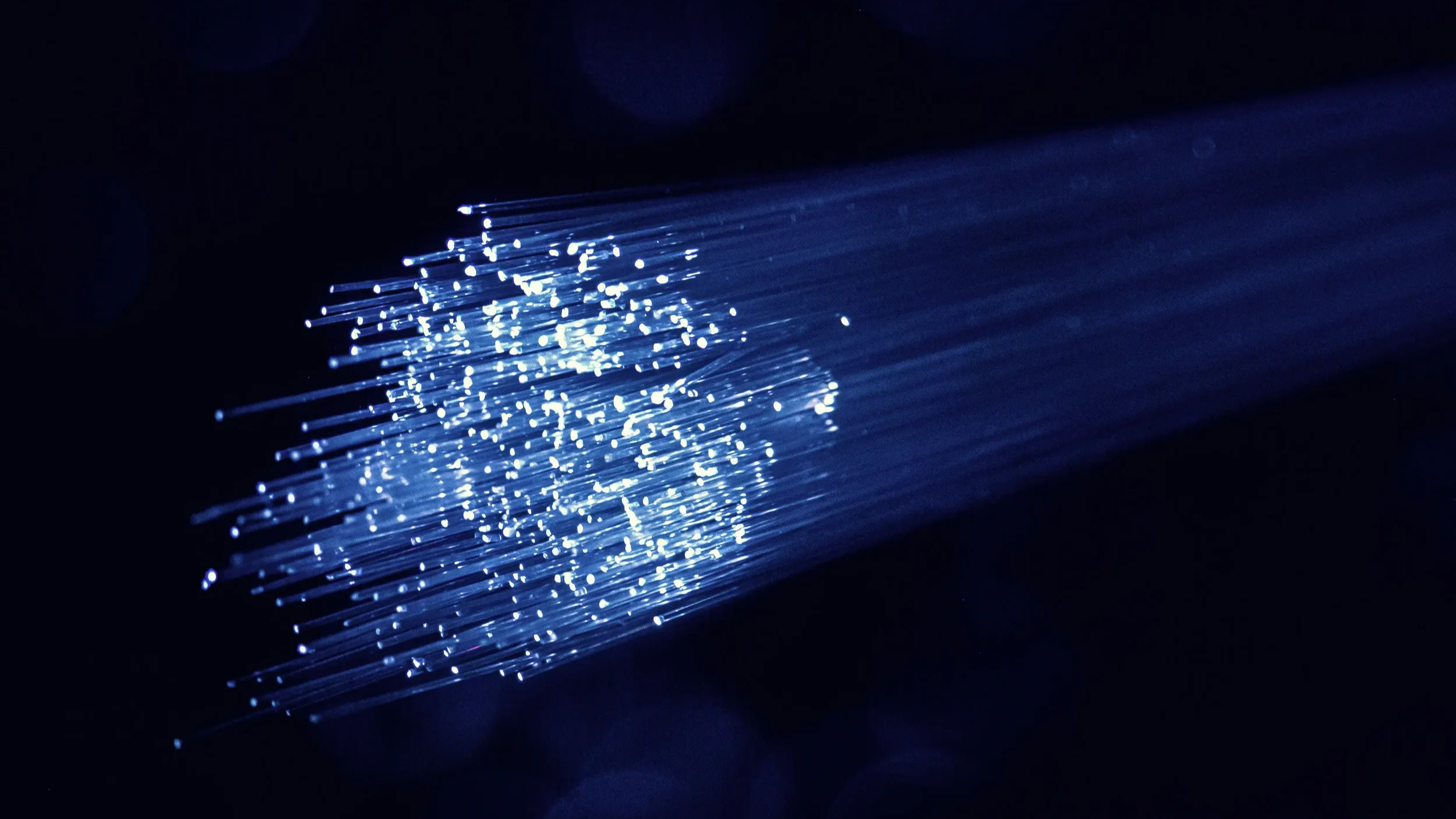 Close-up of fiber optic cables emitting blue light in a dark environment.