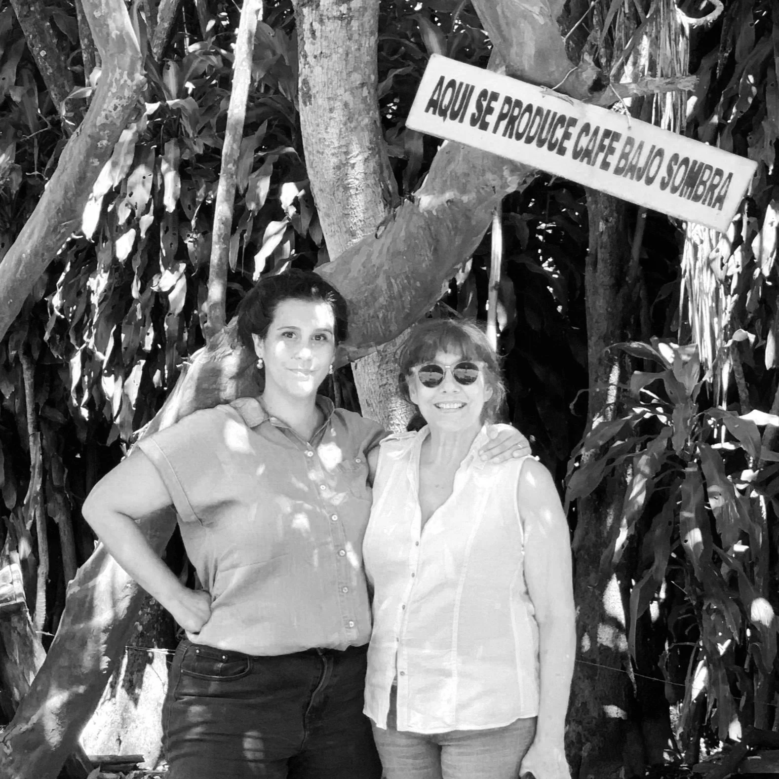 Zwei Frauen stehen im Schatten unter einem Baum in einer dichten Pflanzenumgebung. Über ihnen hängt ein Schild mit dem Text 'AQUI SE PRODUCE CAFE BAJO SOMBRA'.
