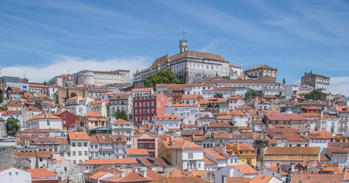 O Bicho-da-conta que teve a coragem de estudar