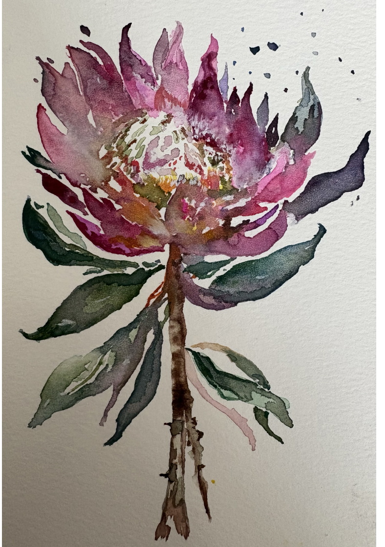 Shadow and Bloom