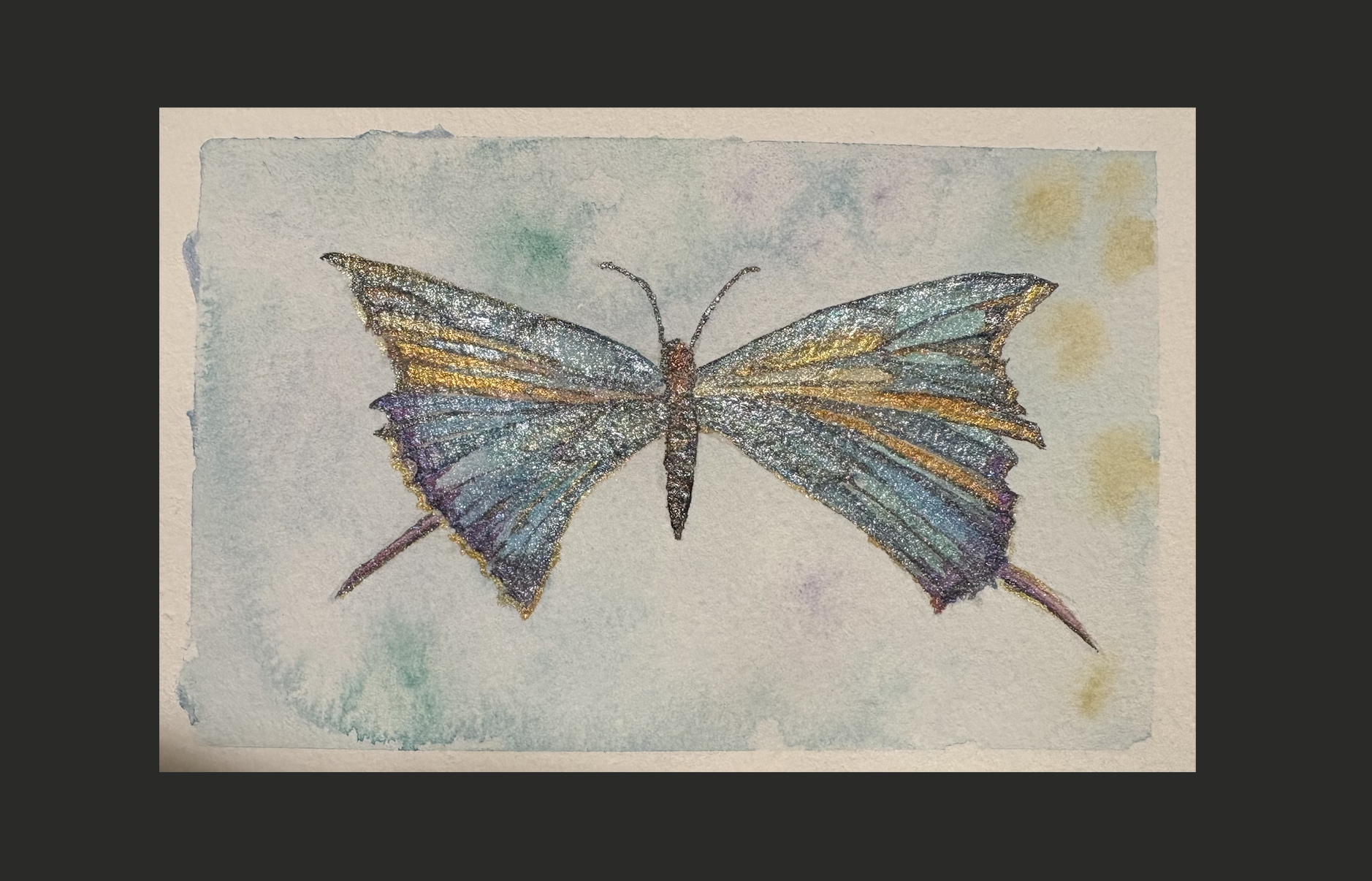 Butterfly on black.png