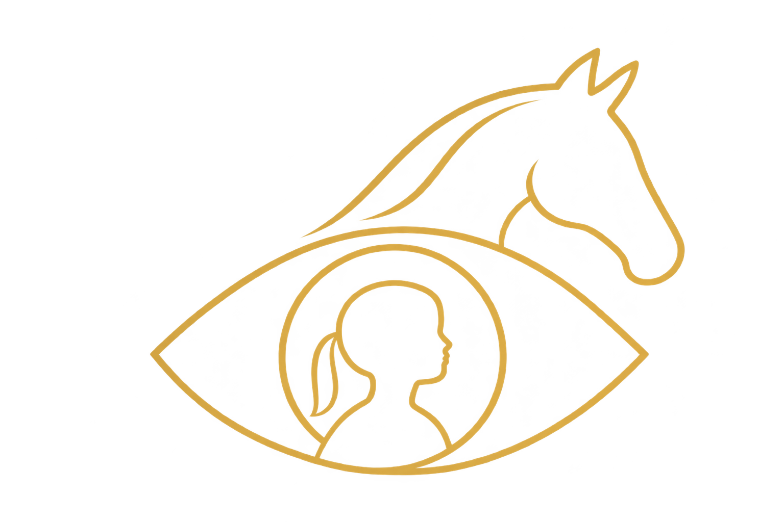 Line-art icon representing a different perspective