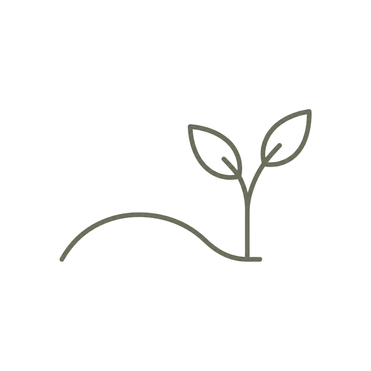Line-art icon representing access to investment in Satya Aspire Center