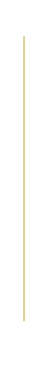 Decorative golden vertical fin line