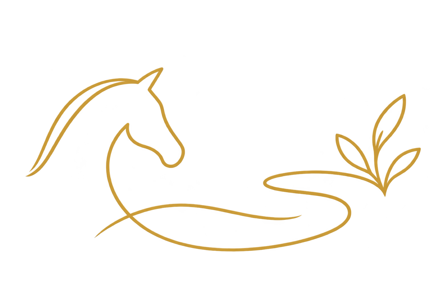 Line-art icon representing possibilities beyond the equestrian setting