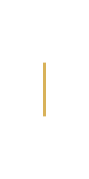 Decorative golden vertical line
