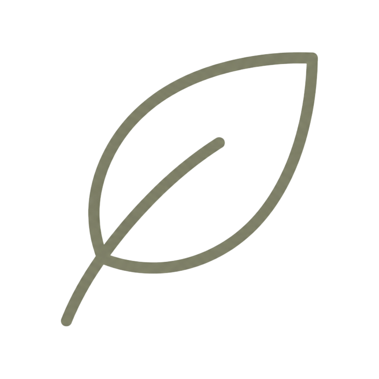 Line-art illustration of a leaf