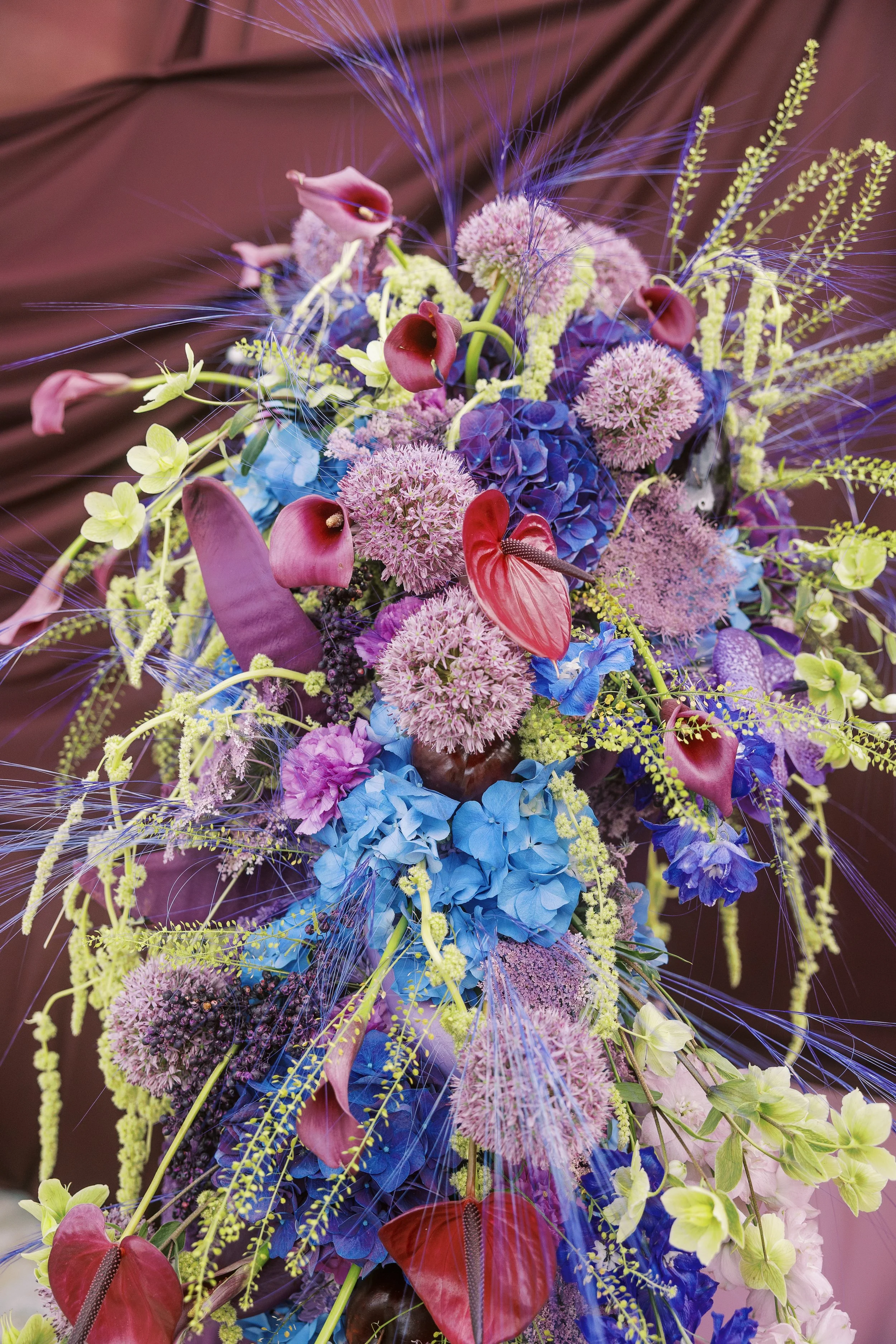 Close-up of dark sculptural flowers, purple blooms and vivid blue botanical details.