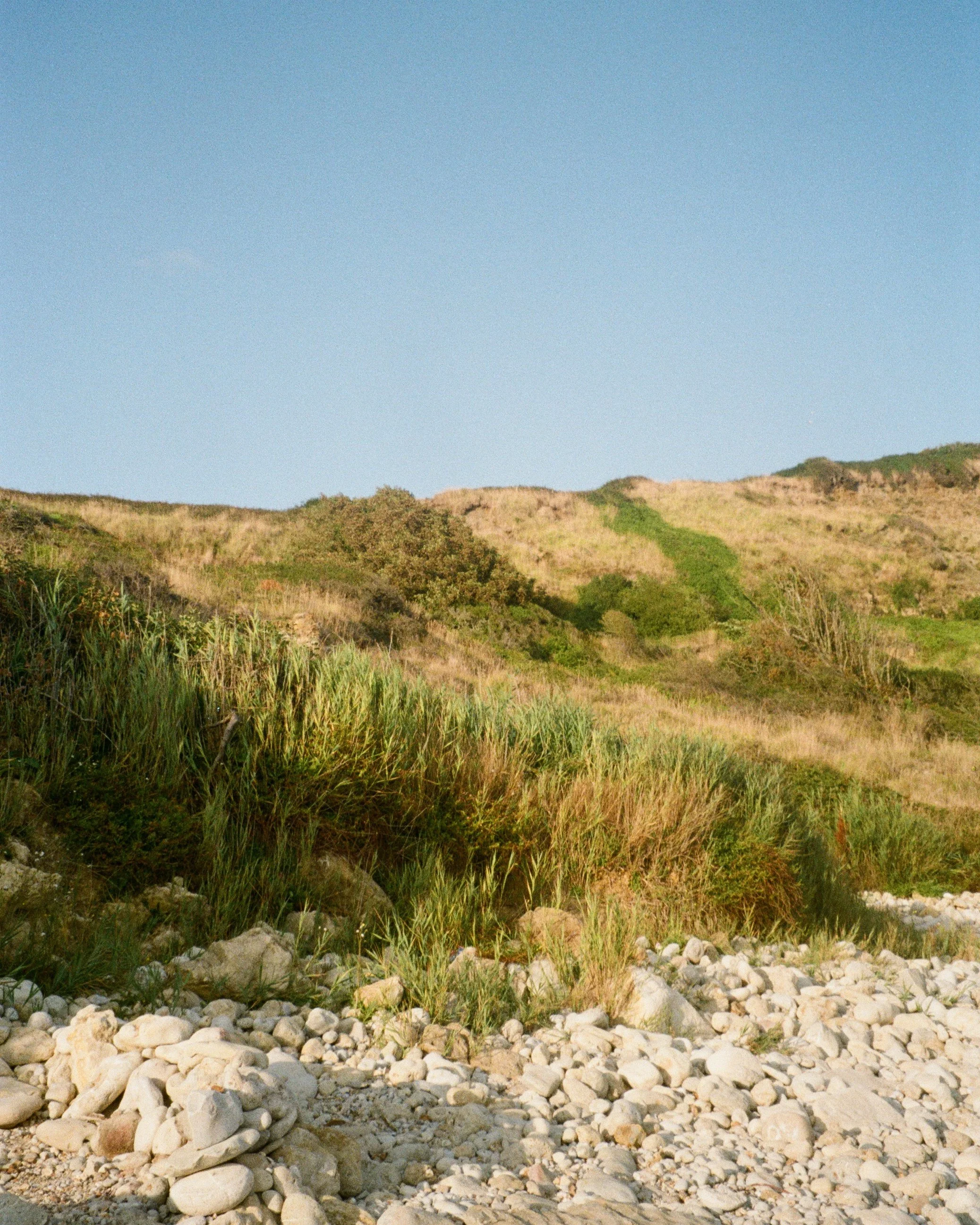 35mm documentary film photography travel adventure beach coastline.jpg