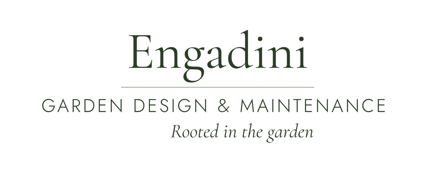 Engadini