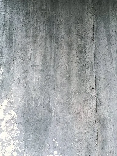 IMG_0561.jpg