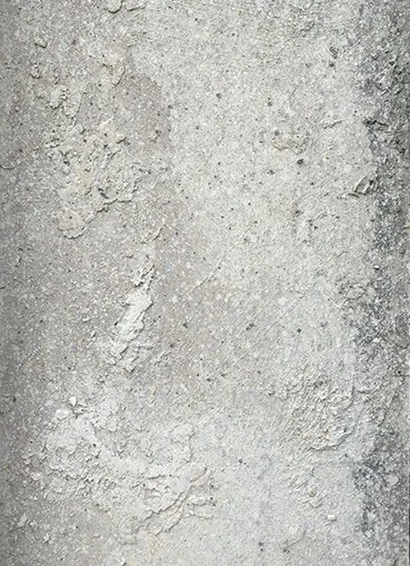 IMG_0505.jpg