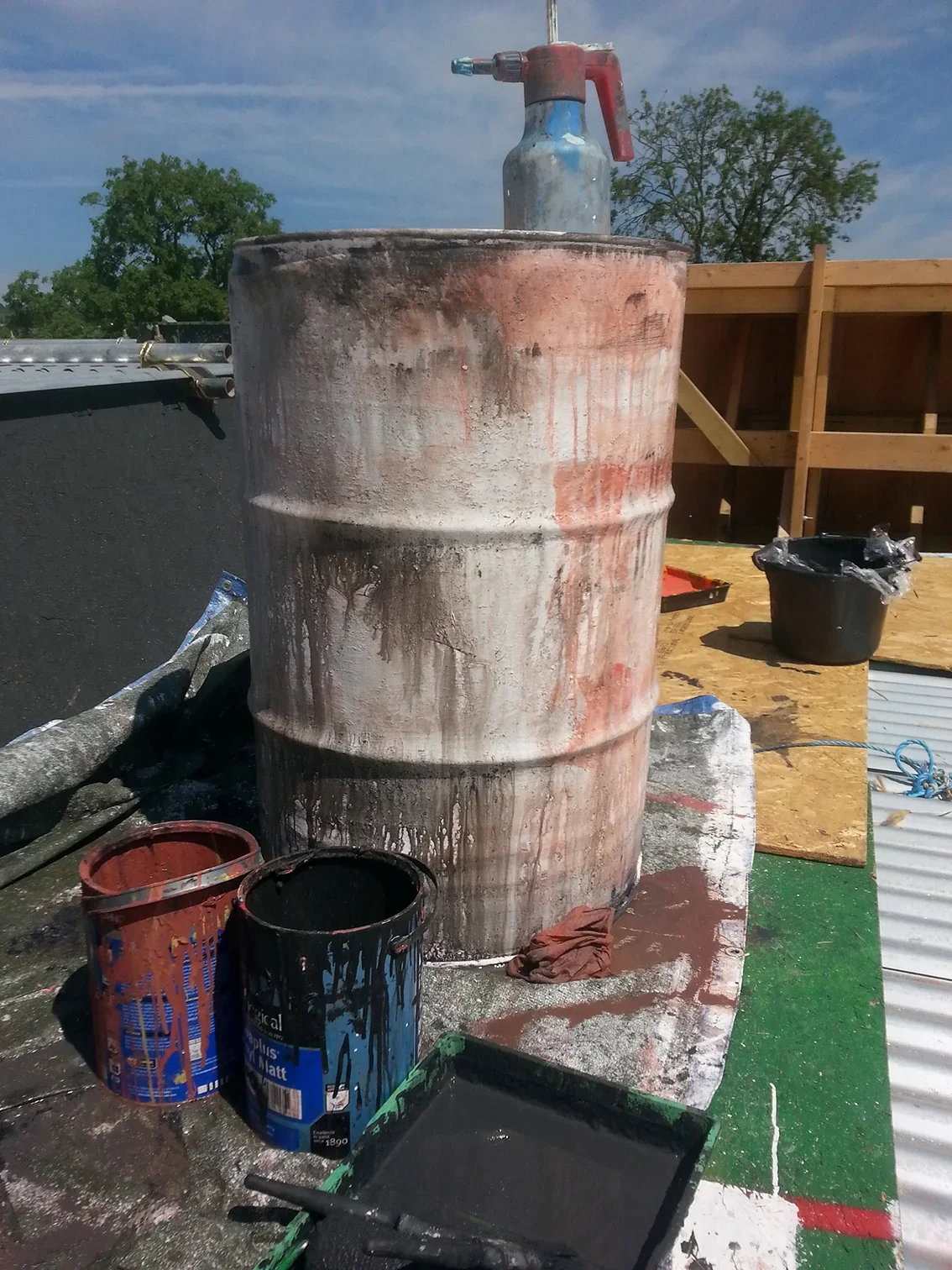 20150618_121754.jpg.webp