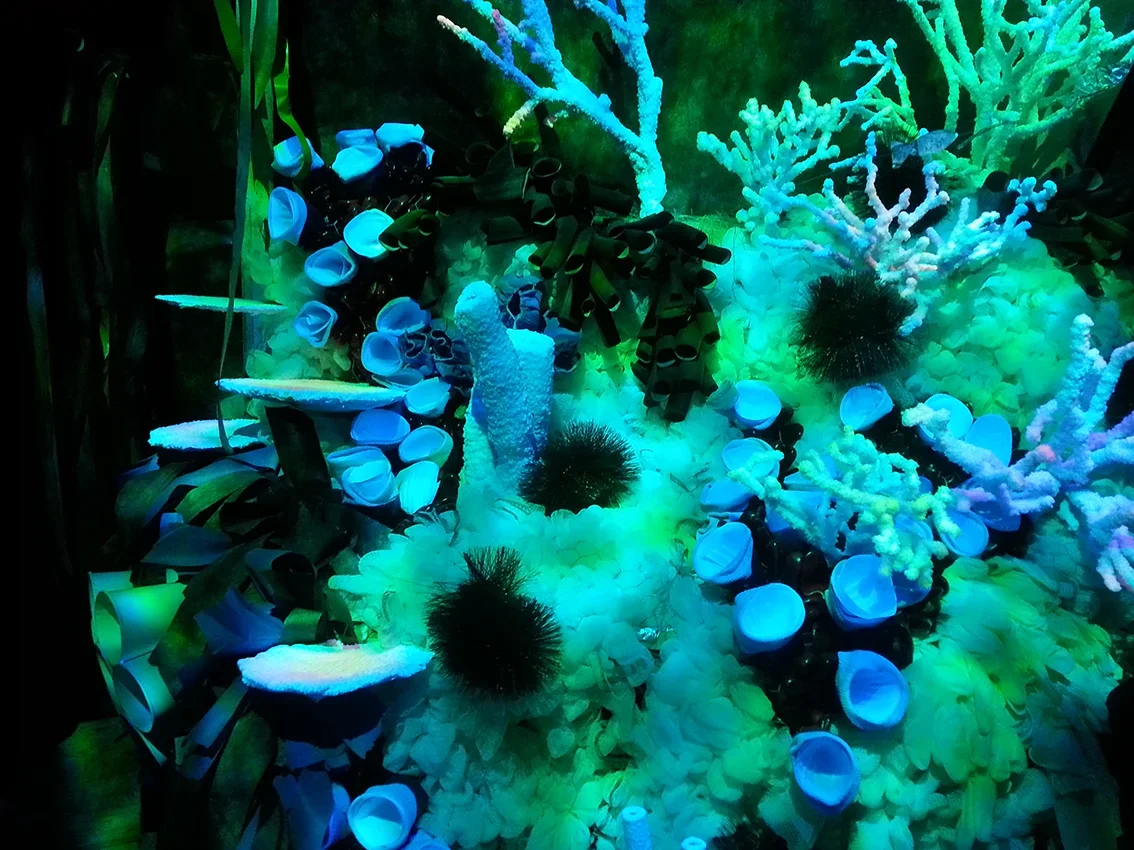 20150624_145504.jpg.webp