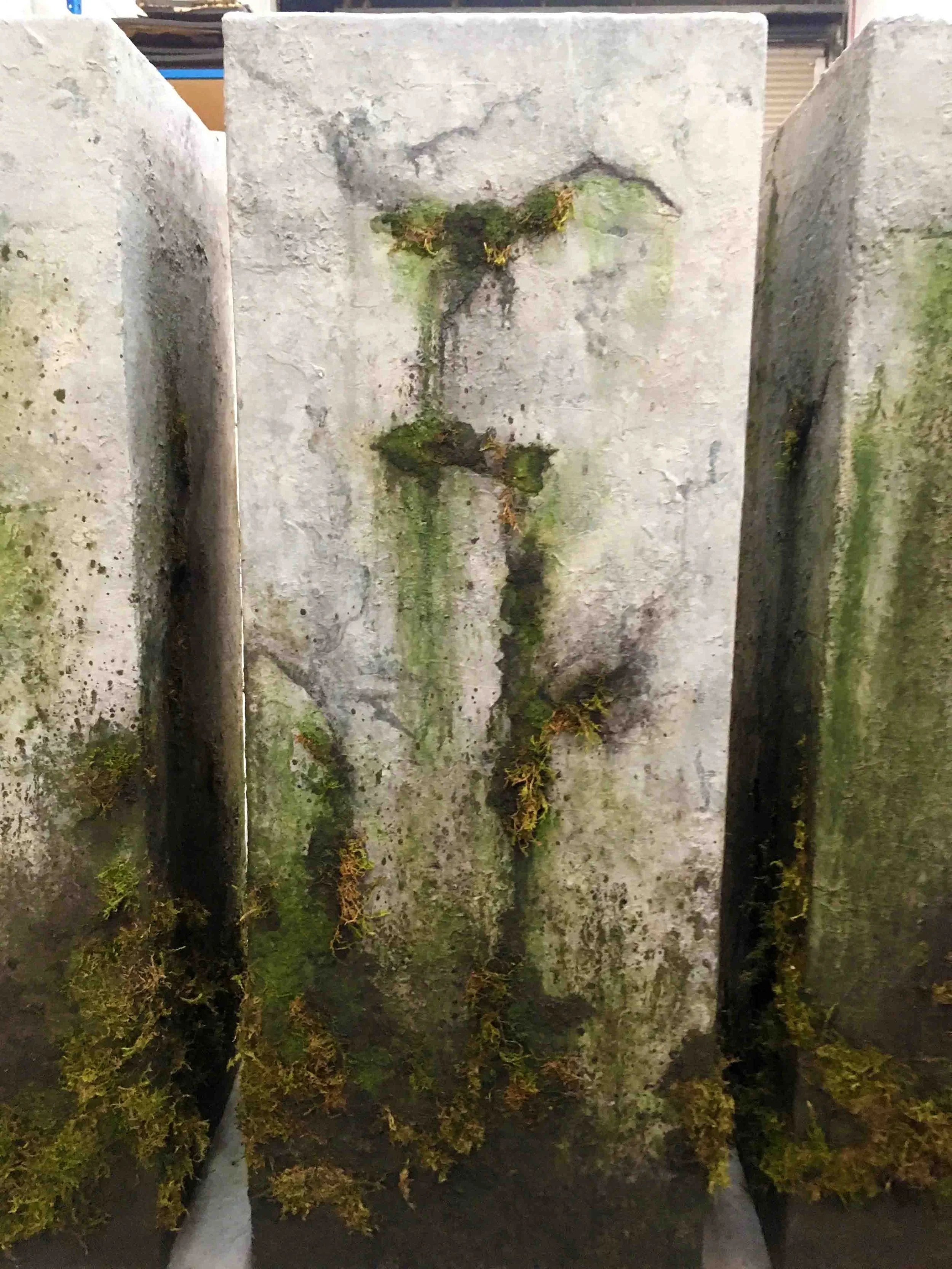 58.jpg