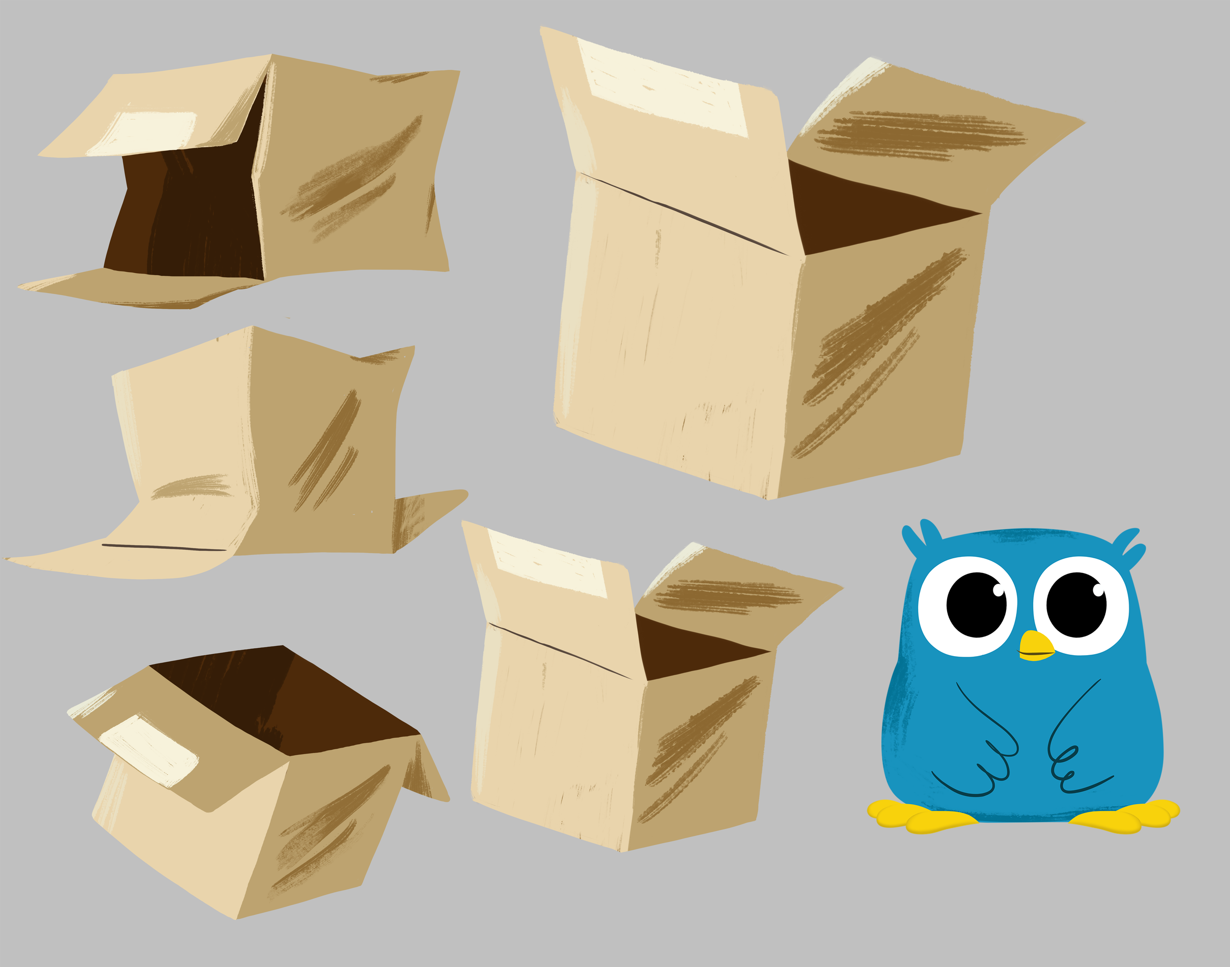 ollie_cardboard.png