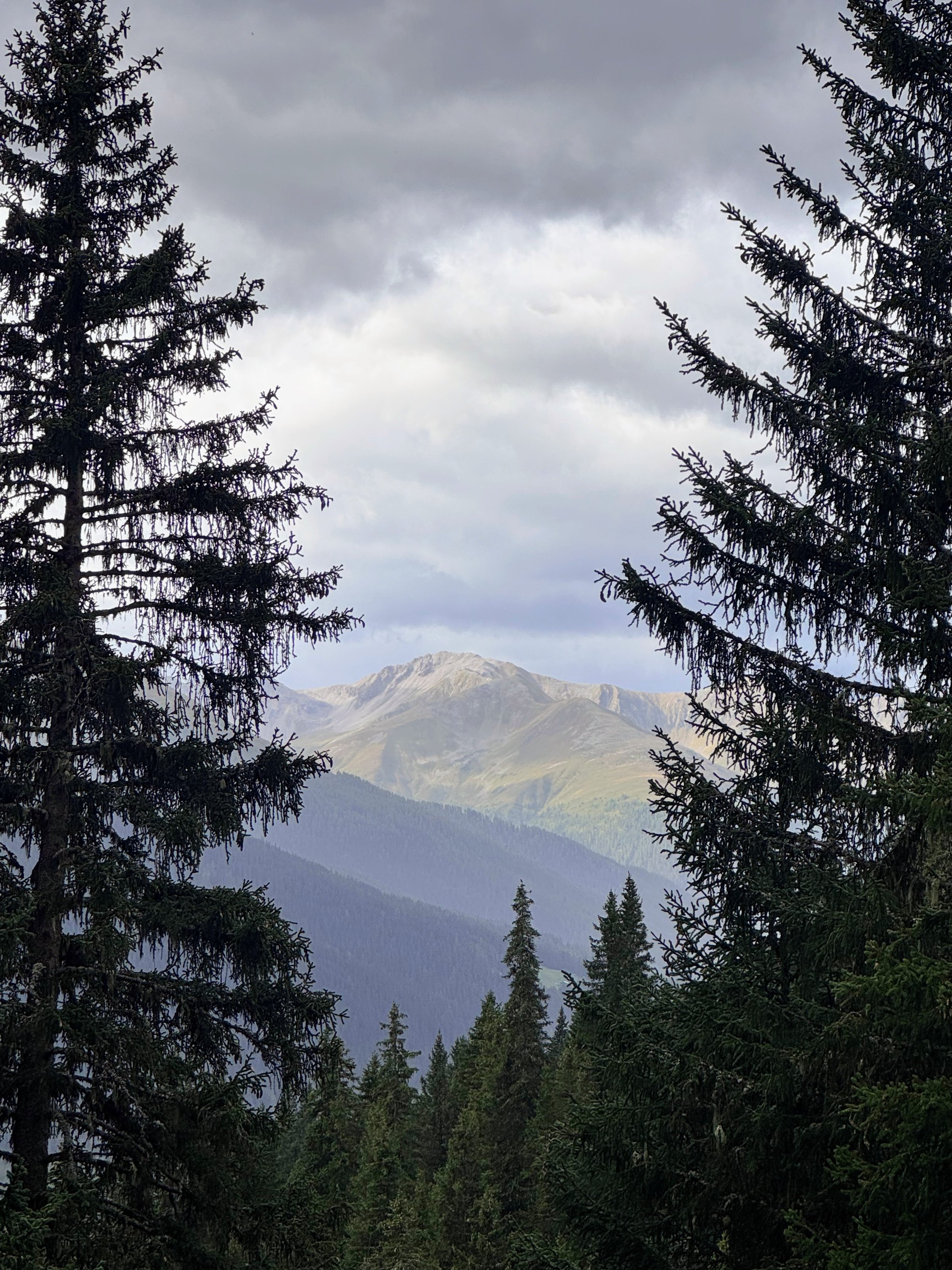 IMG_4980 (1).jpg