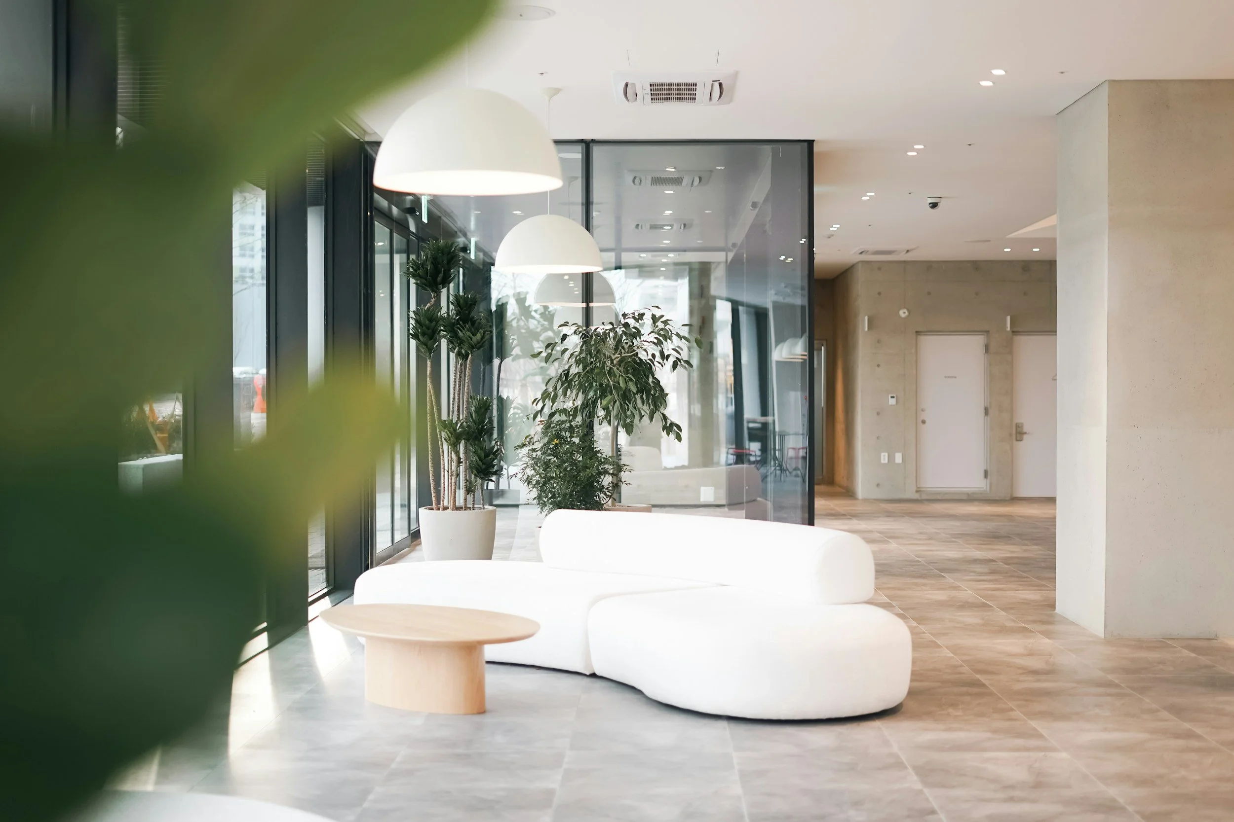 Modern interior lobby with white curved sofa, small wooden table, green potted plants, large glass windows, and hanging white pendant lights.