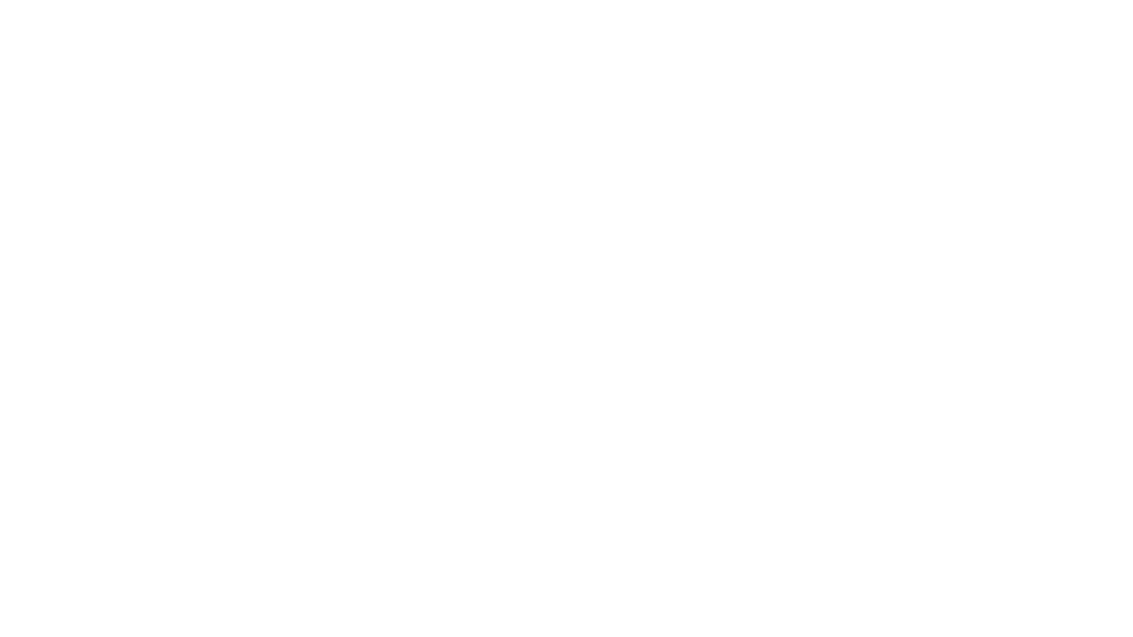 AUREUS ANIMUS