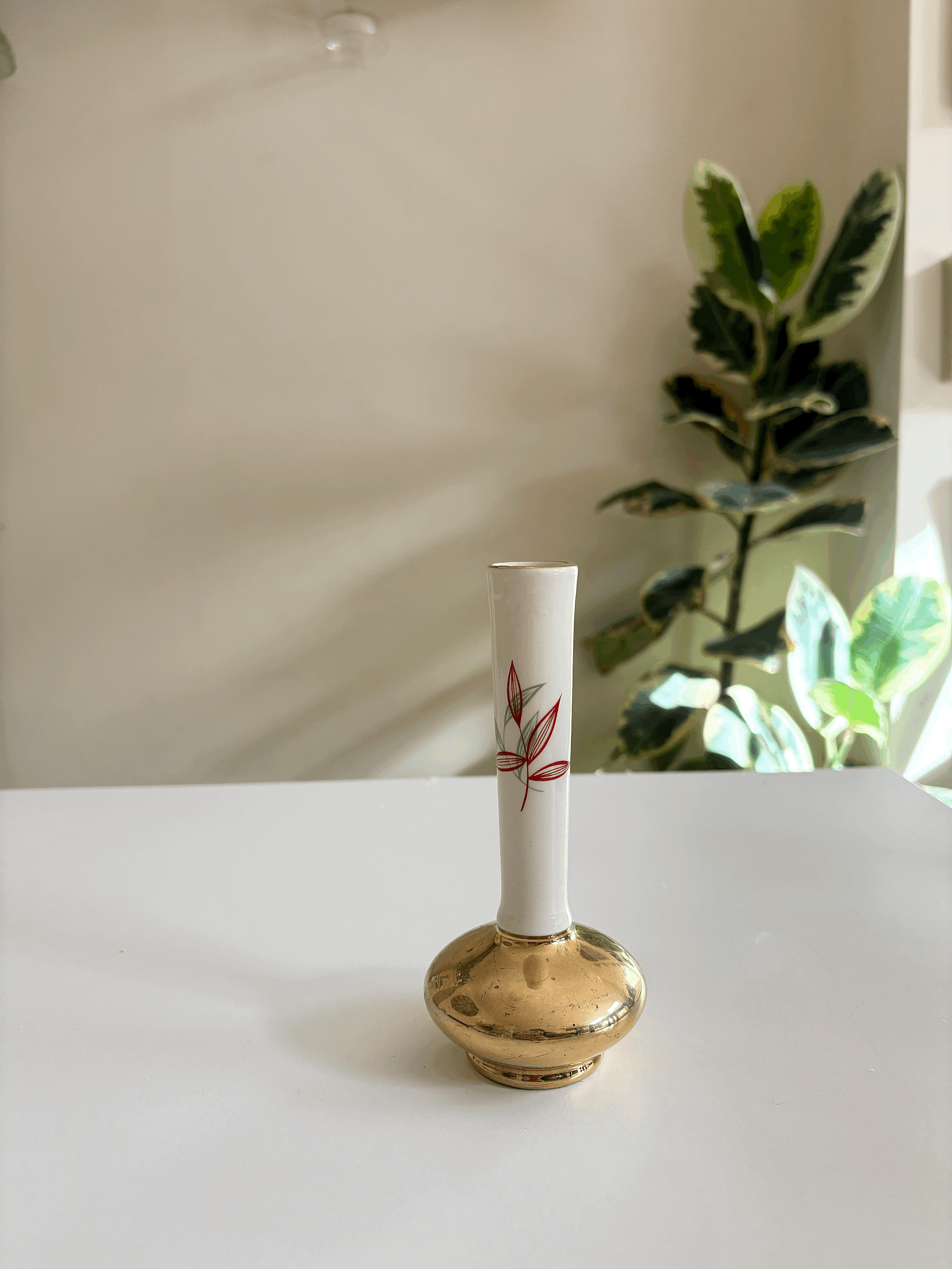 tempImageK46Mqo.gif