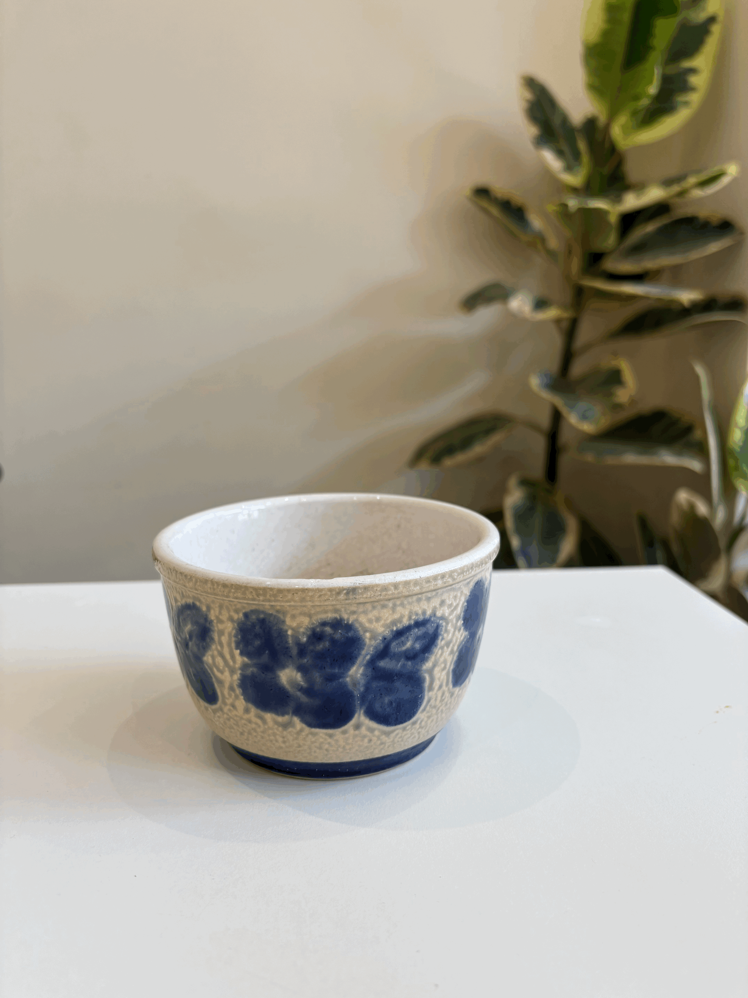 tempImageBWb0Vi.gif