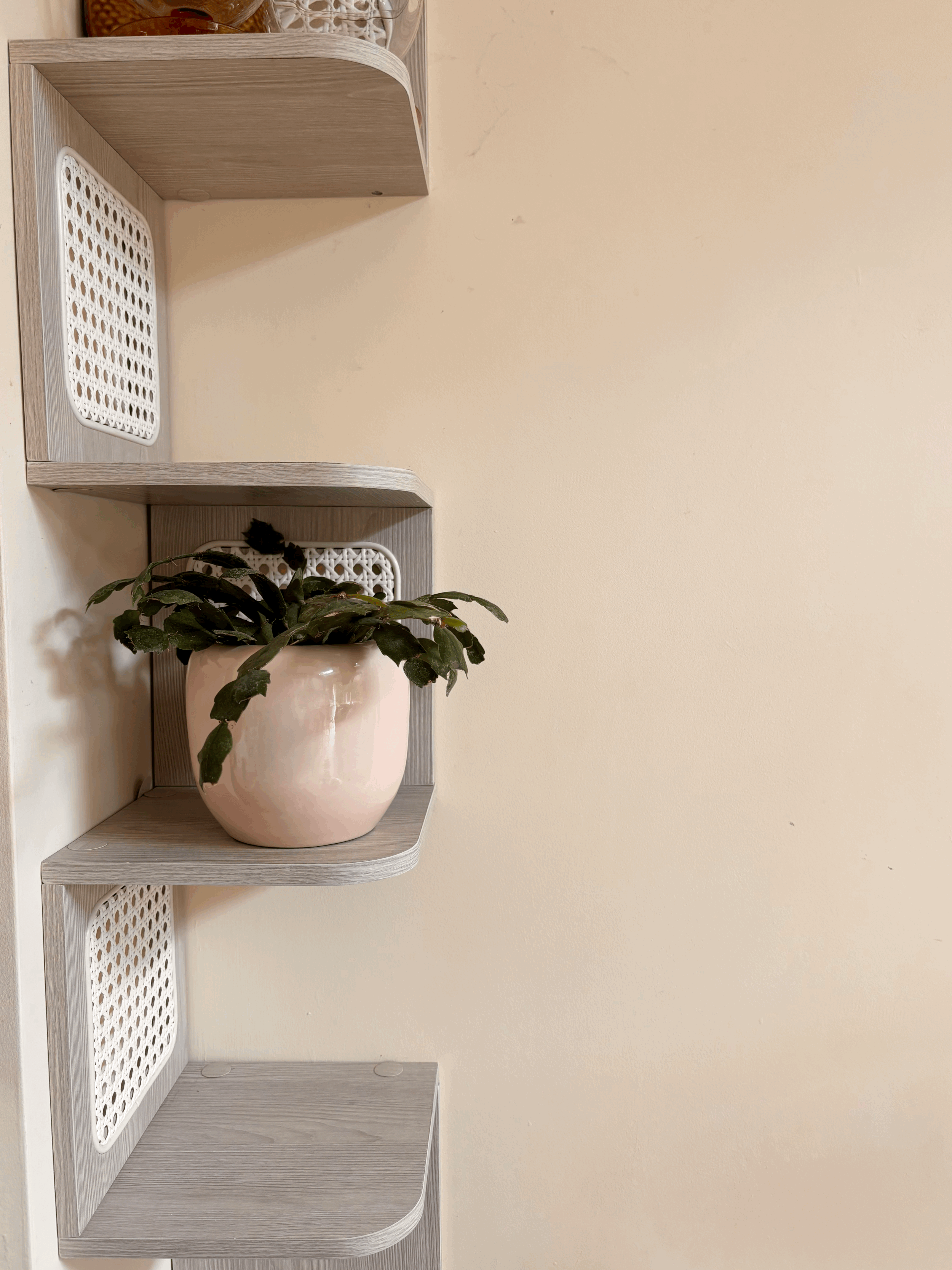 80s pink bubble plant pot