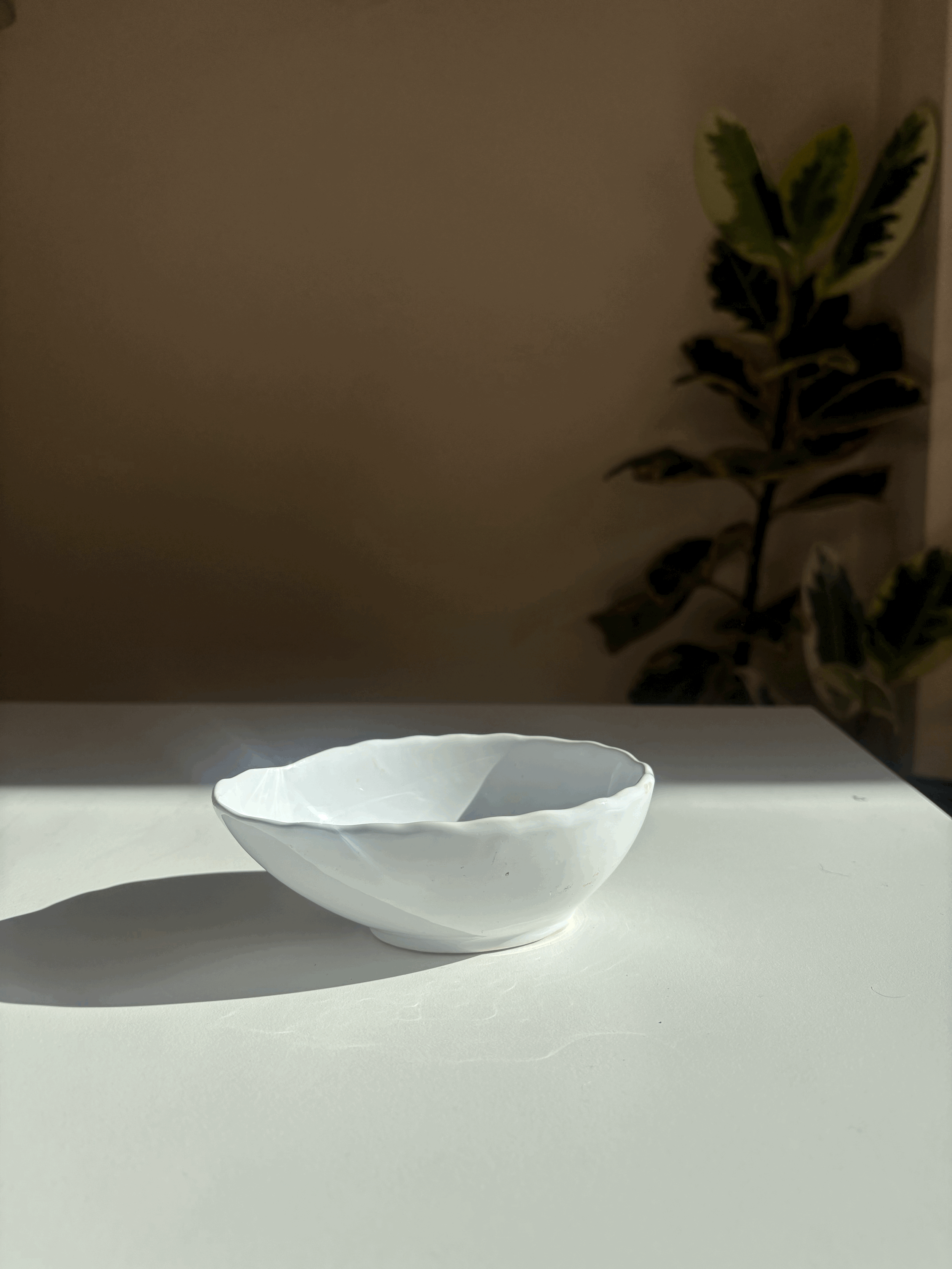 tempImageH1Bh14.gif