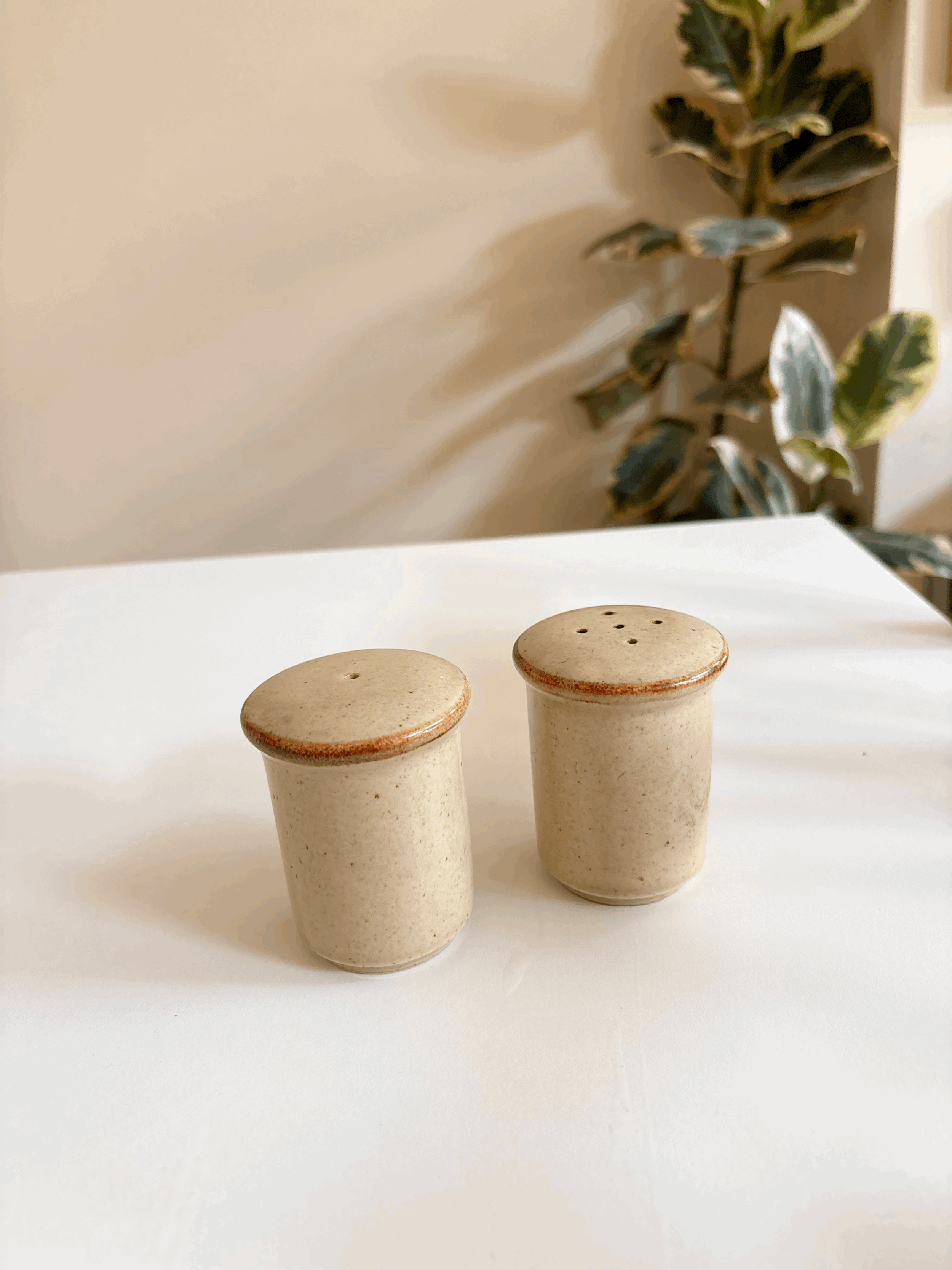 tempImageIYQ3cg.gif