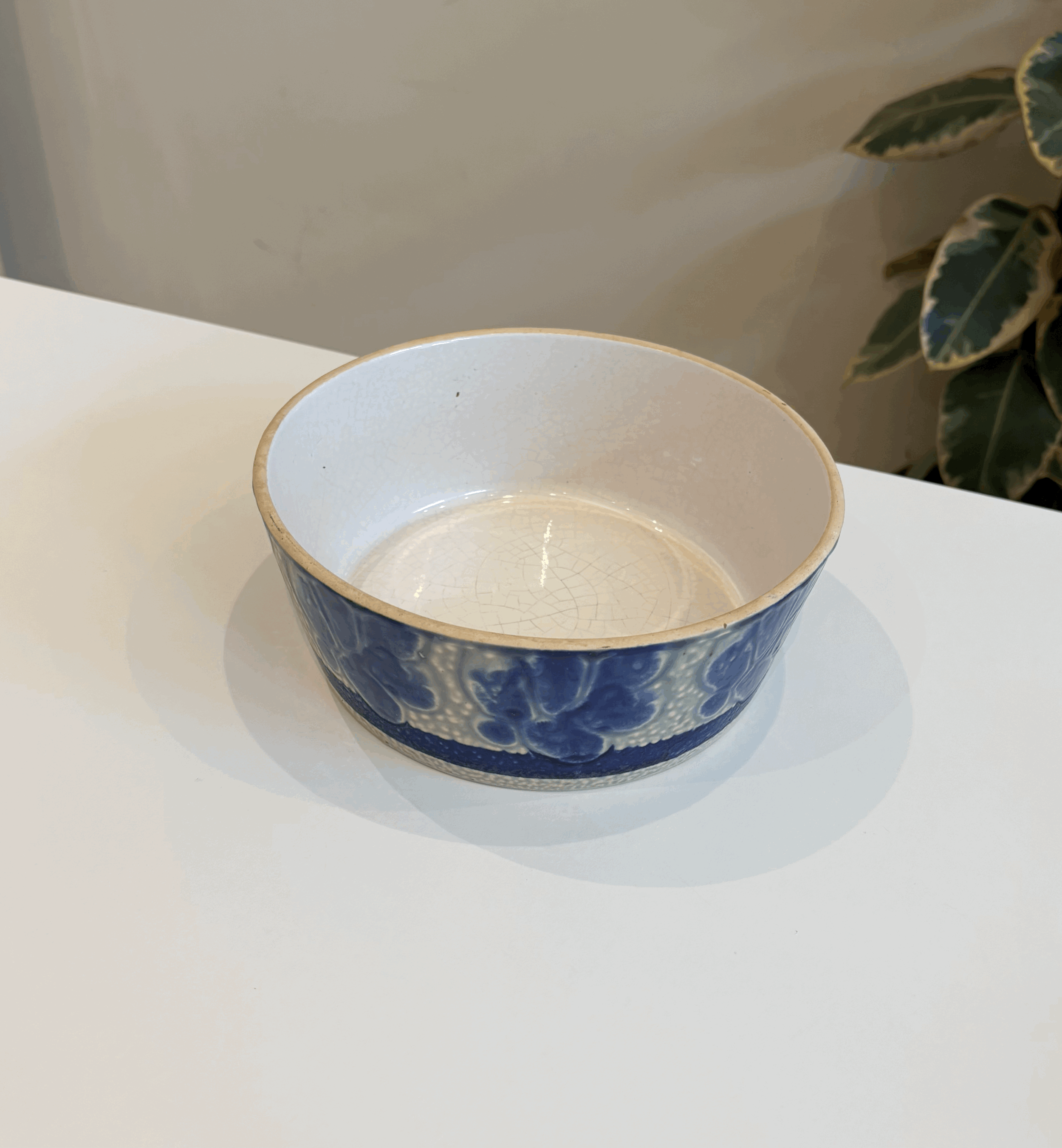 tempImageceCIe7.gif