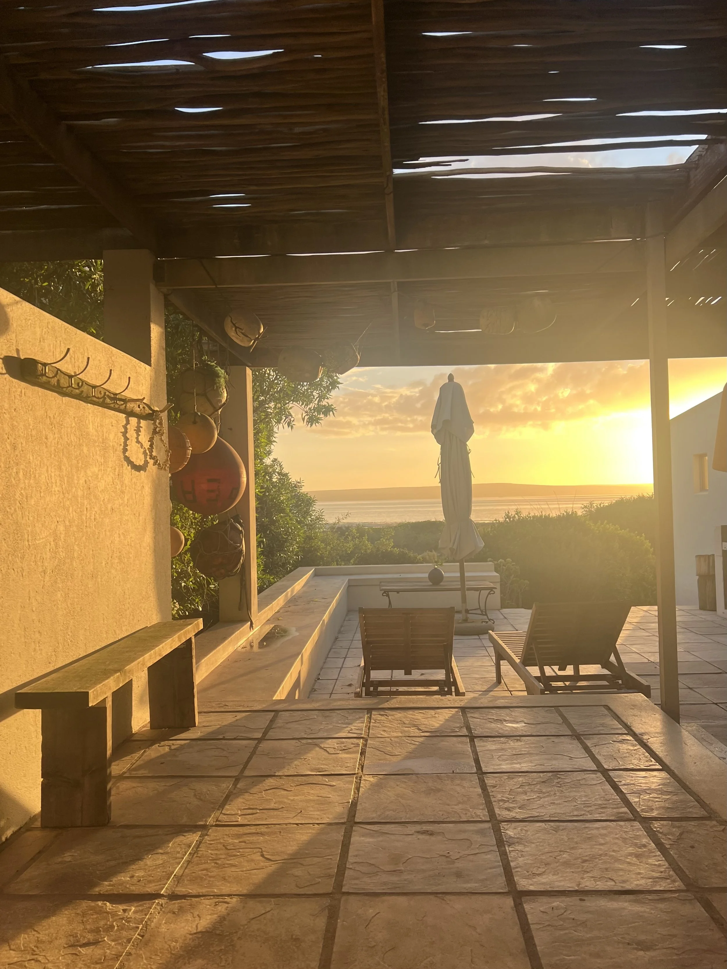 IMG_4126.jpeg