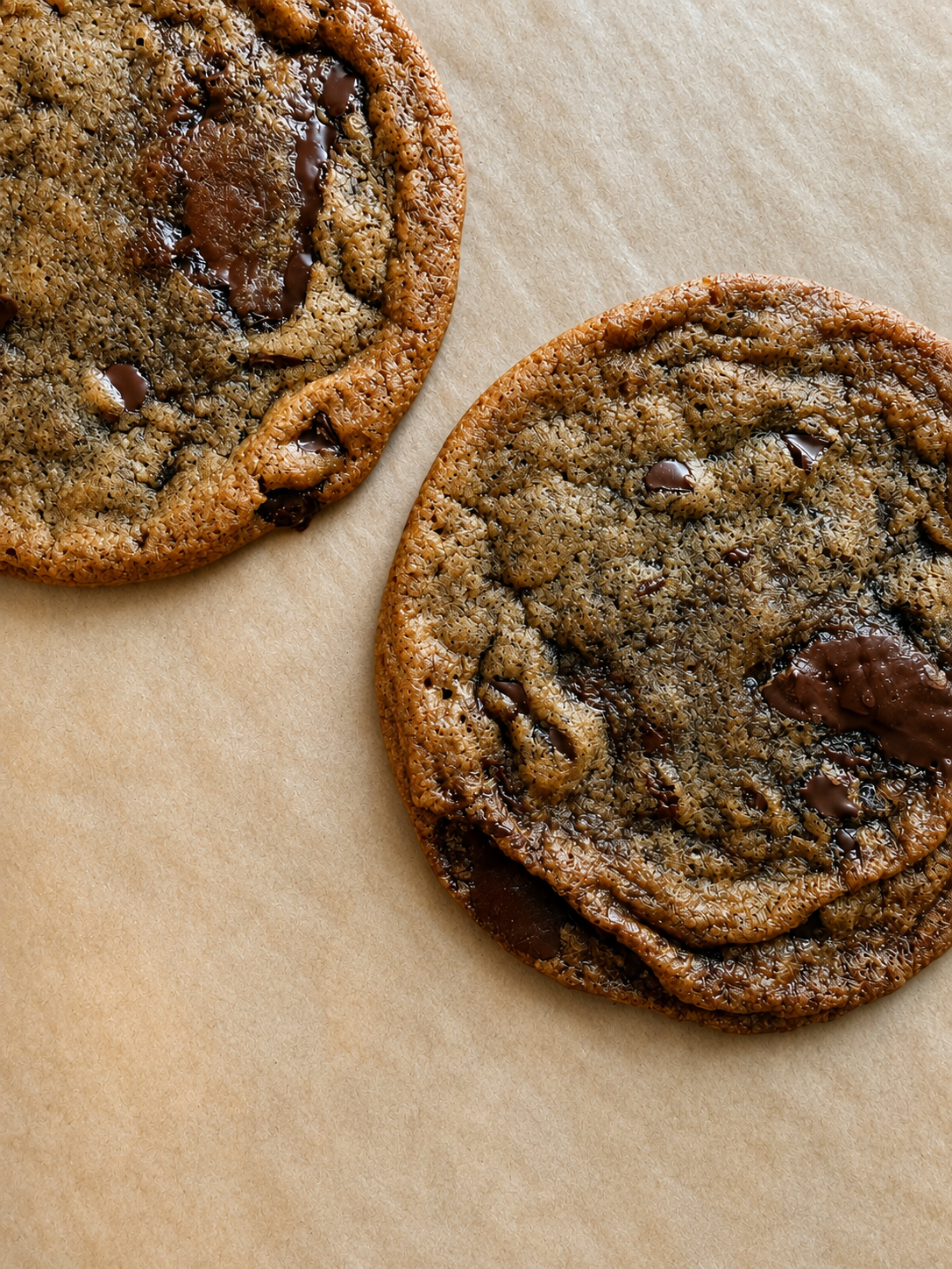 Brown Butter Chocolate Chip Cookie