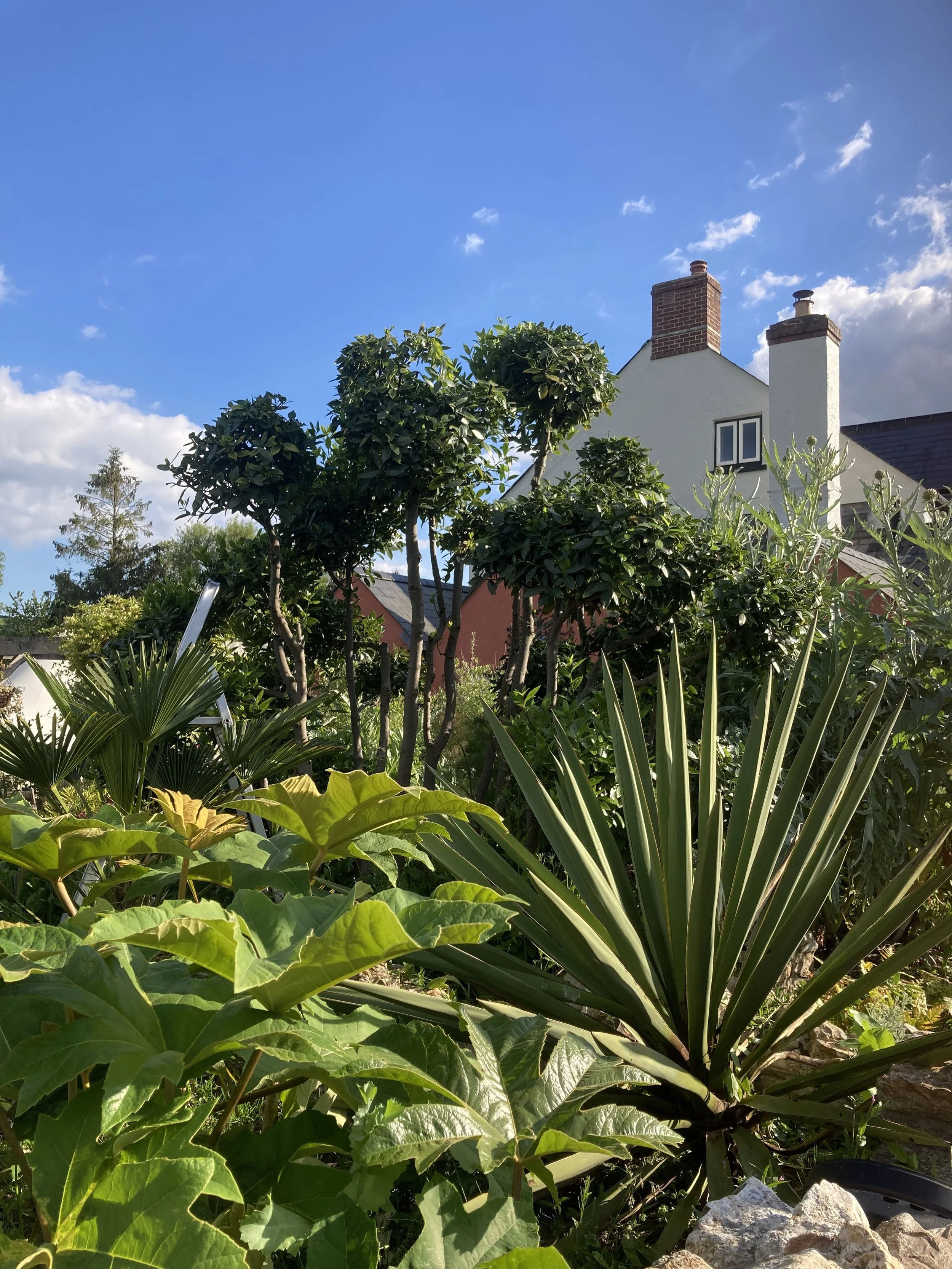 The Blackdown Hills' project