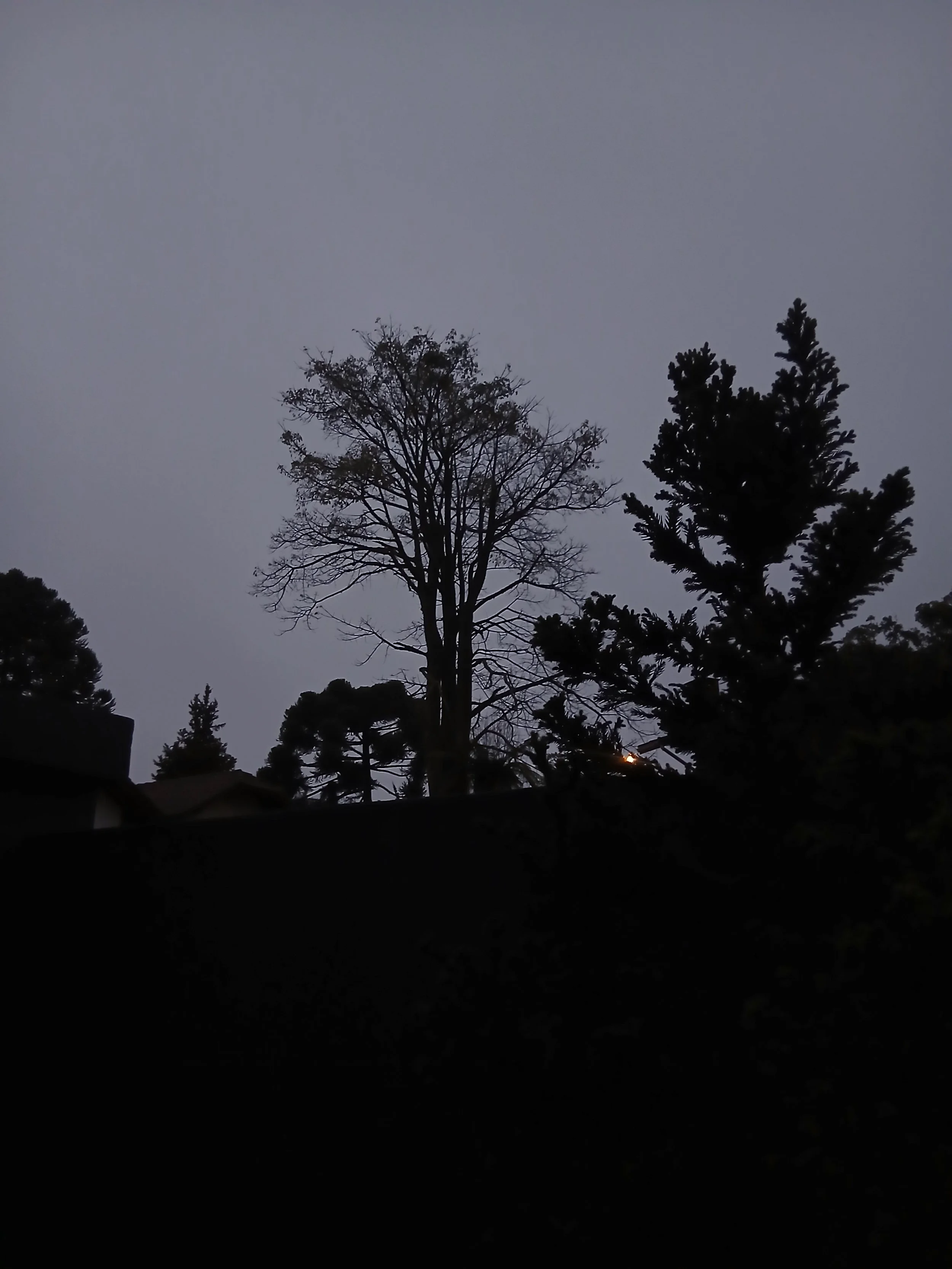 1000241500.jpg