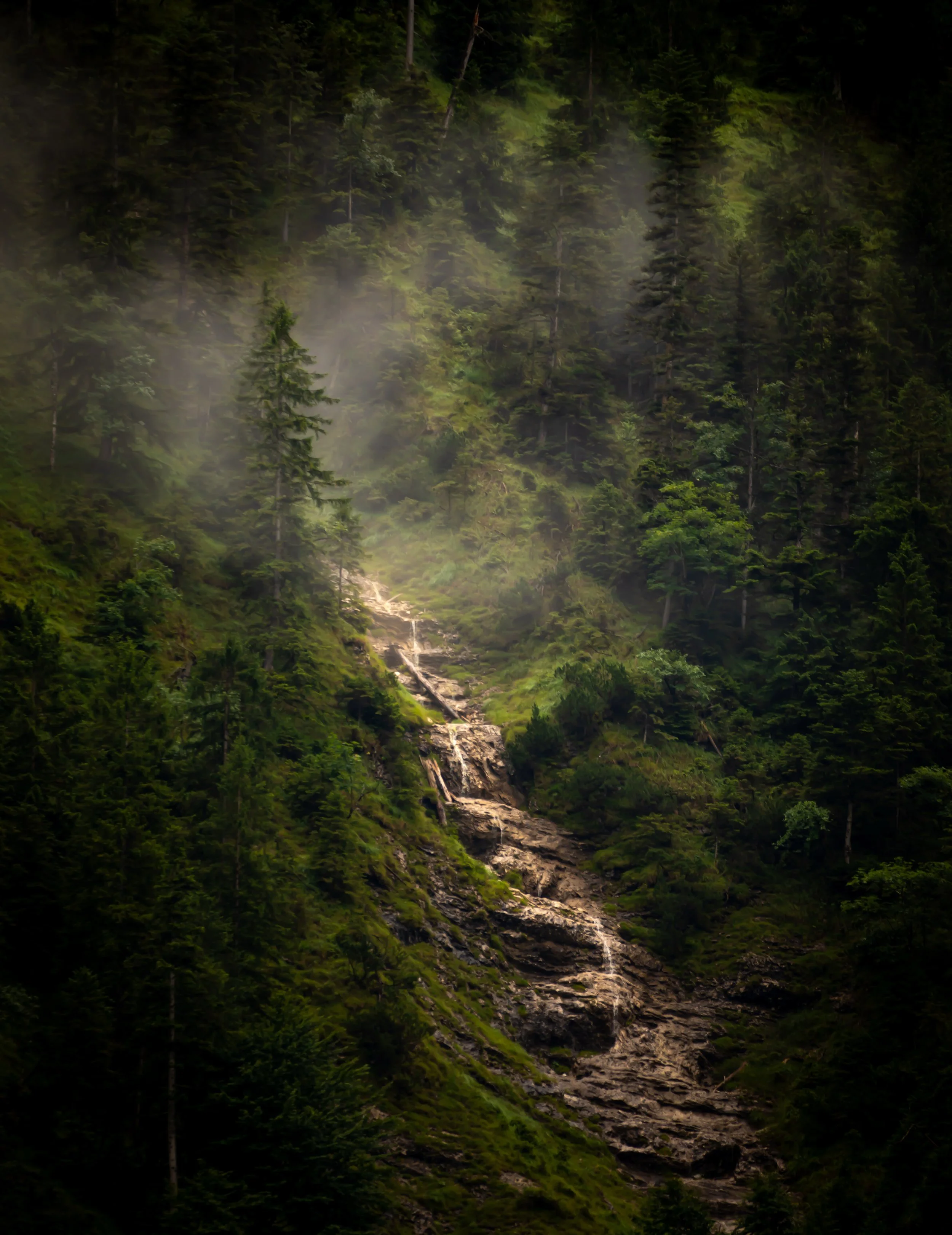 Landscapes