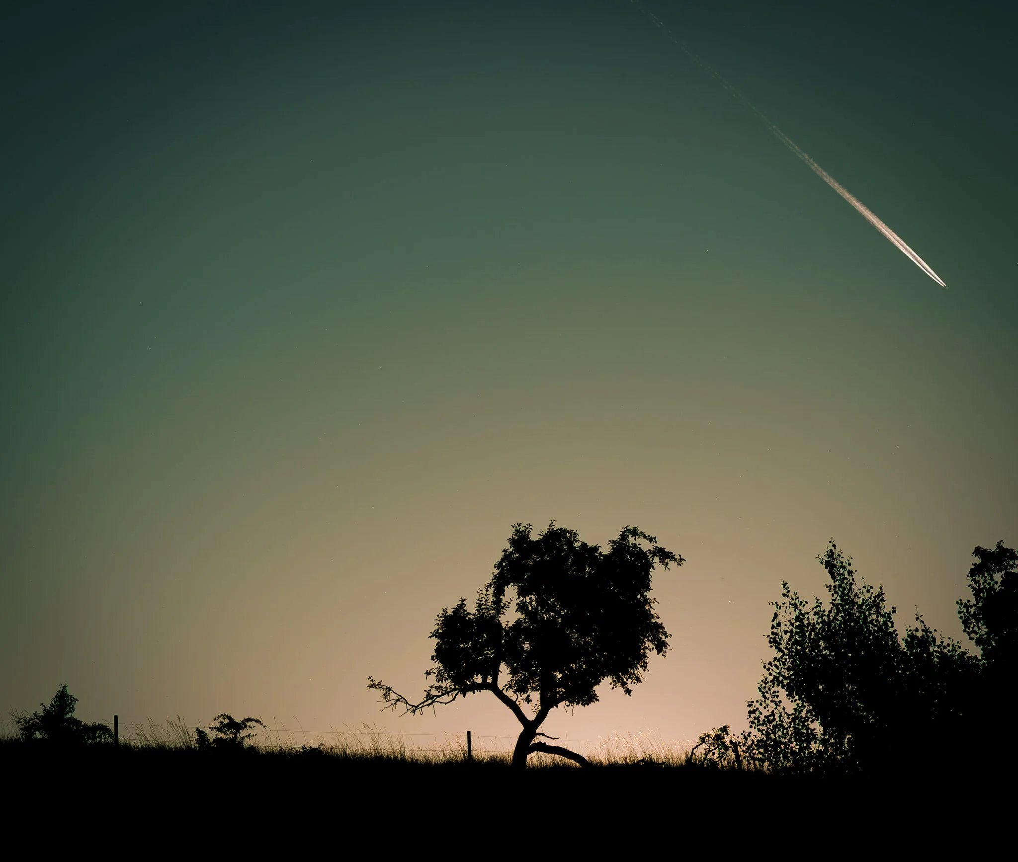 Silhouette of a lone tree on the horizon at dusk beneath a vast greenish-golden sky, with a bright airplane contrail cutting diagonally across the upper right corner.