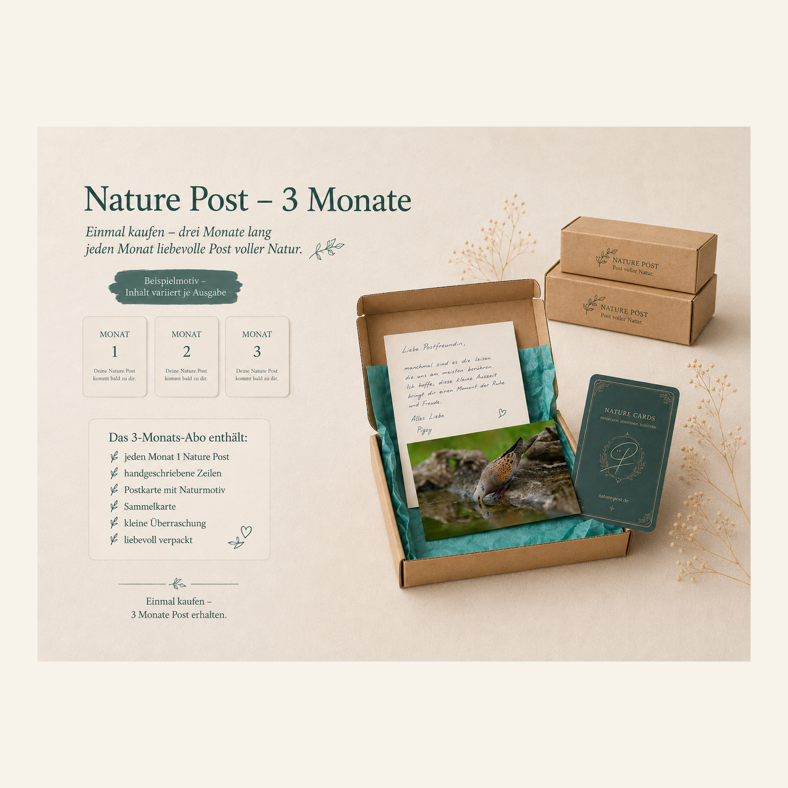 Nature_Post_3_Monate_Squarespace_1zu1.png