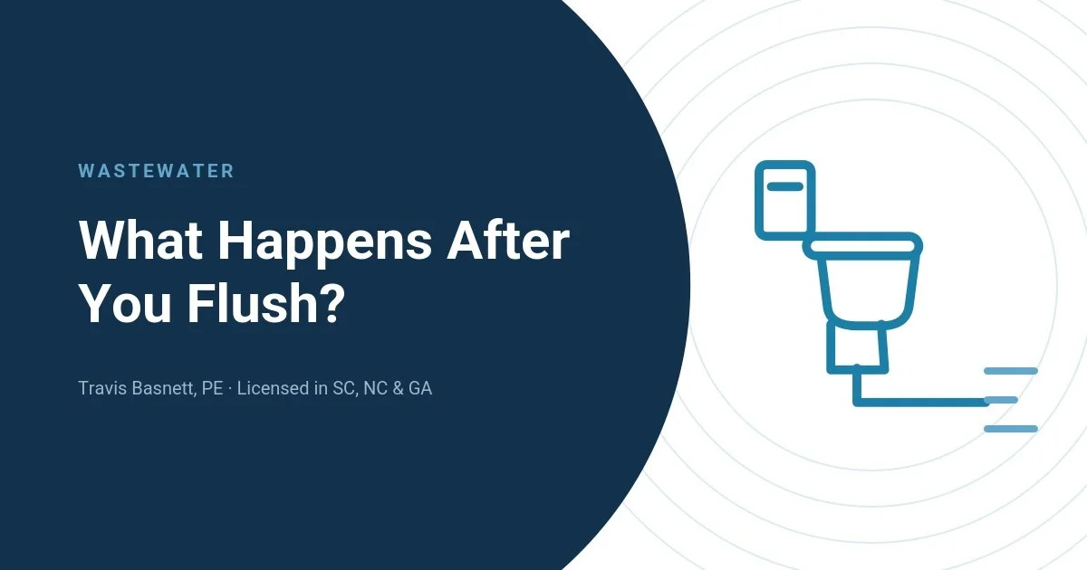 What Happens After You Flush?