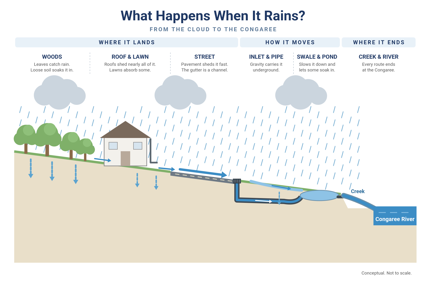 Diagram following rain from woods, roofs and streets through inlets, pipes, swales and ponds to a creek and the Congaree River.