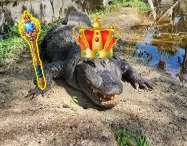 A crocodile lying on the ground near water, wearing a crown and holding a scepter.
